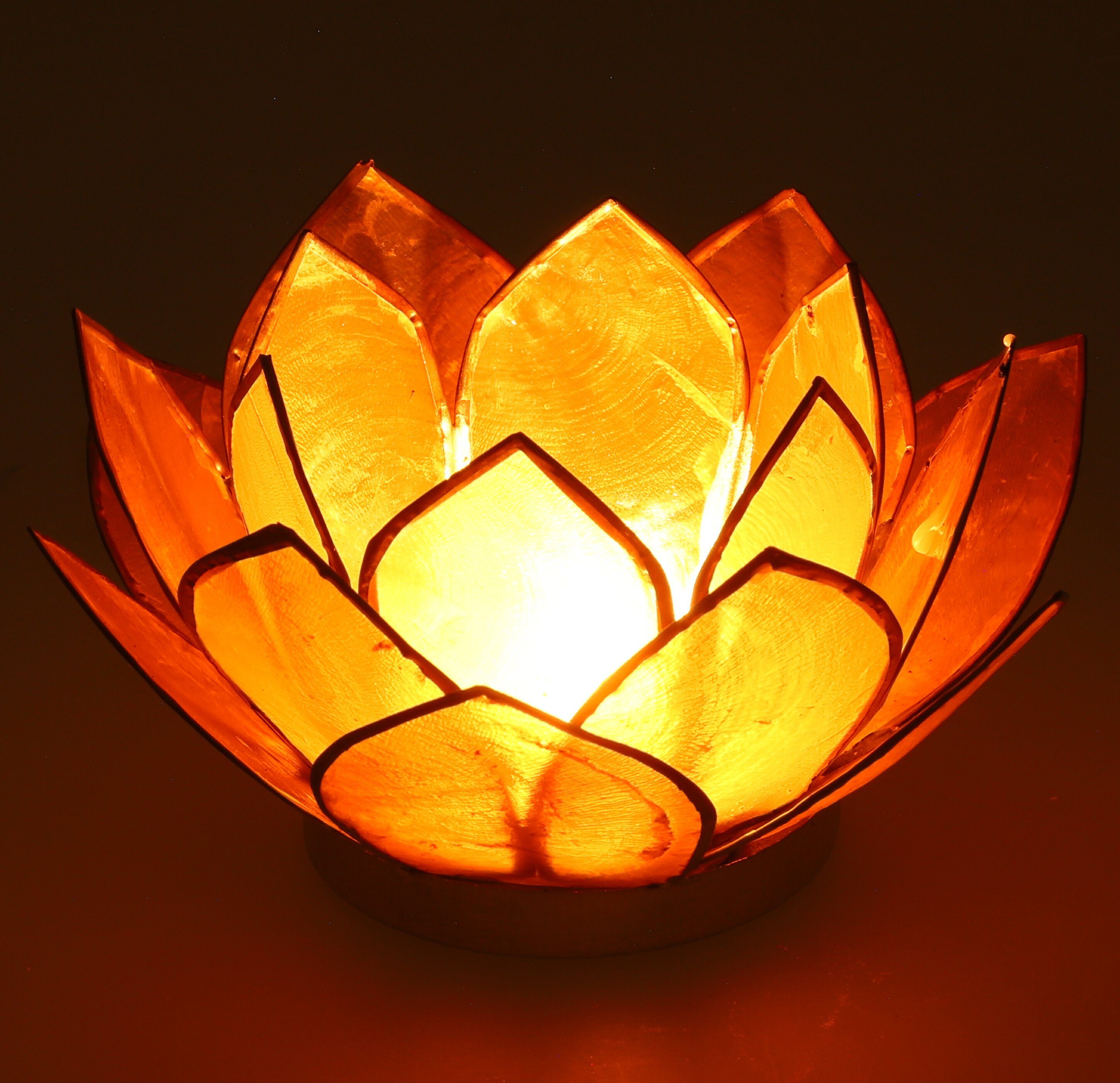 Guru-Shop Windlicht Lotus Teelicht Muschel 14*6 günstig online kaufen
