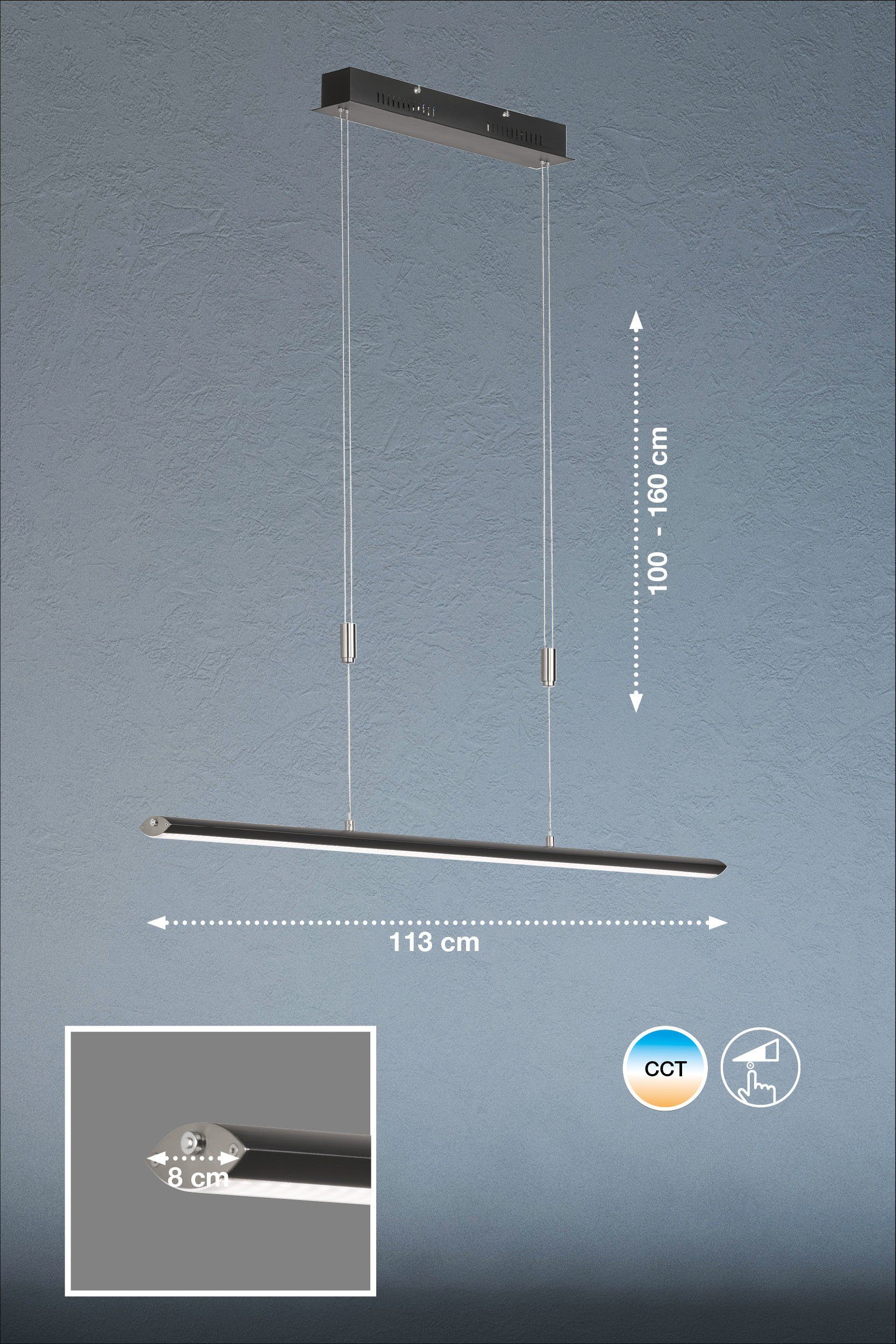 FISCHER & HONSEL LED Pendelleuchte integriert, fest TW, Farbwechsler LED Farbsteuerung, Beat Dimmfunktion