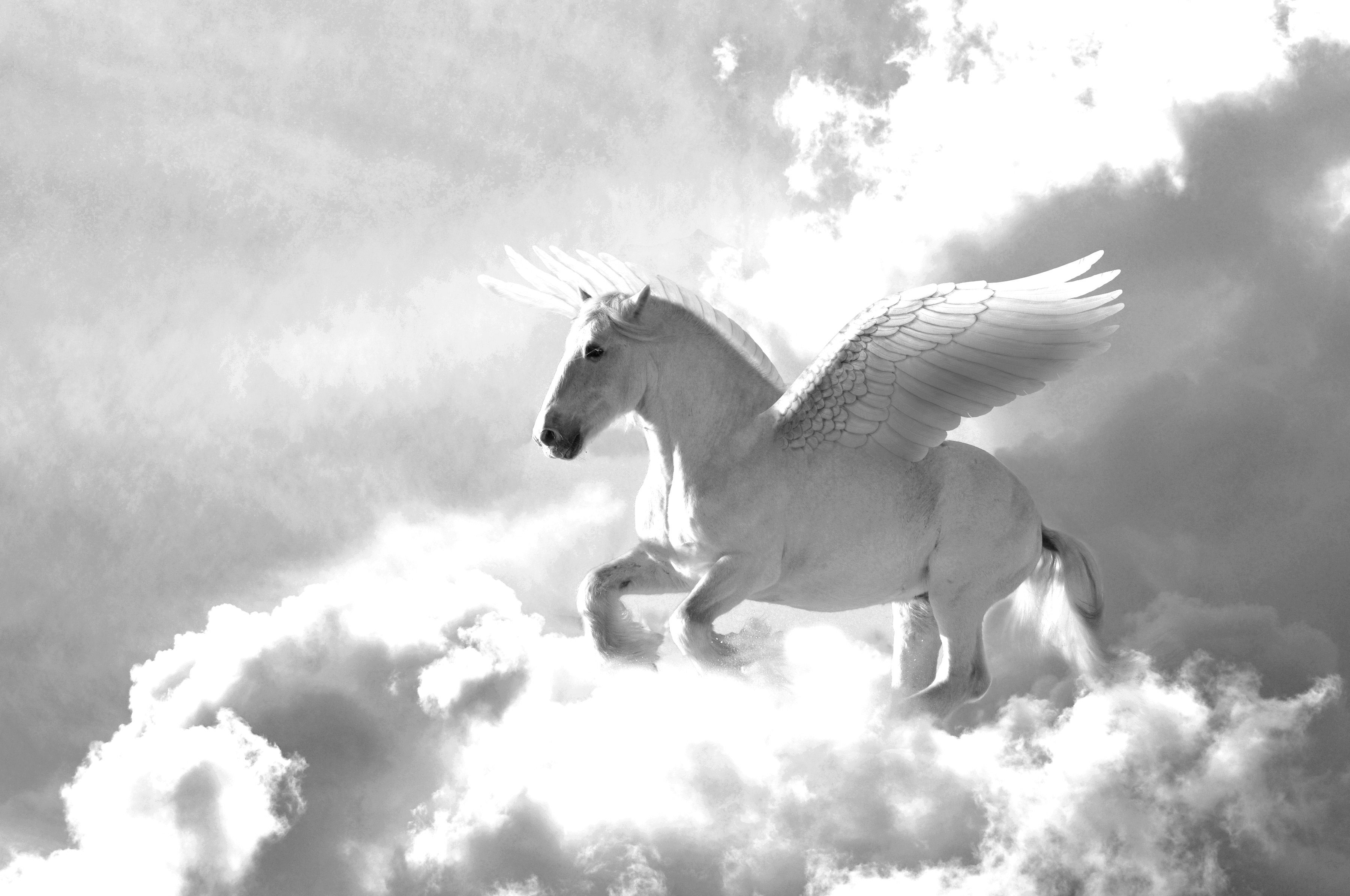 Papermoon Fototapete Pegasus Schwarz Weiß &