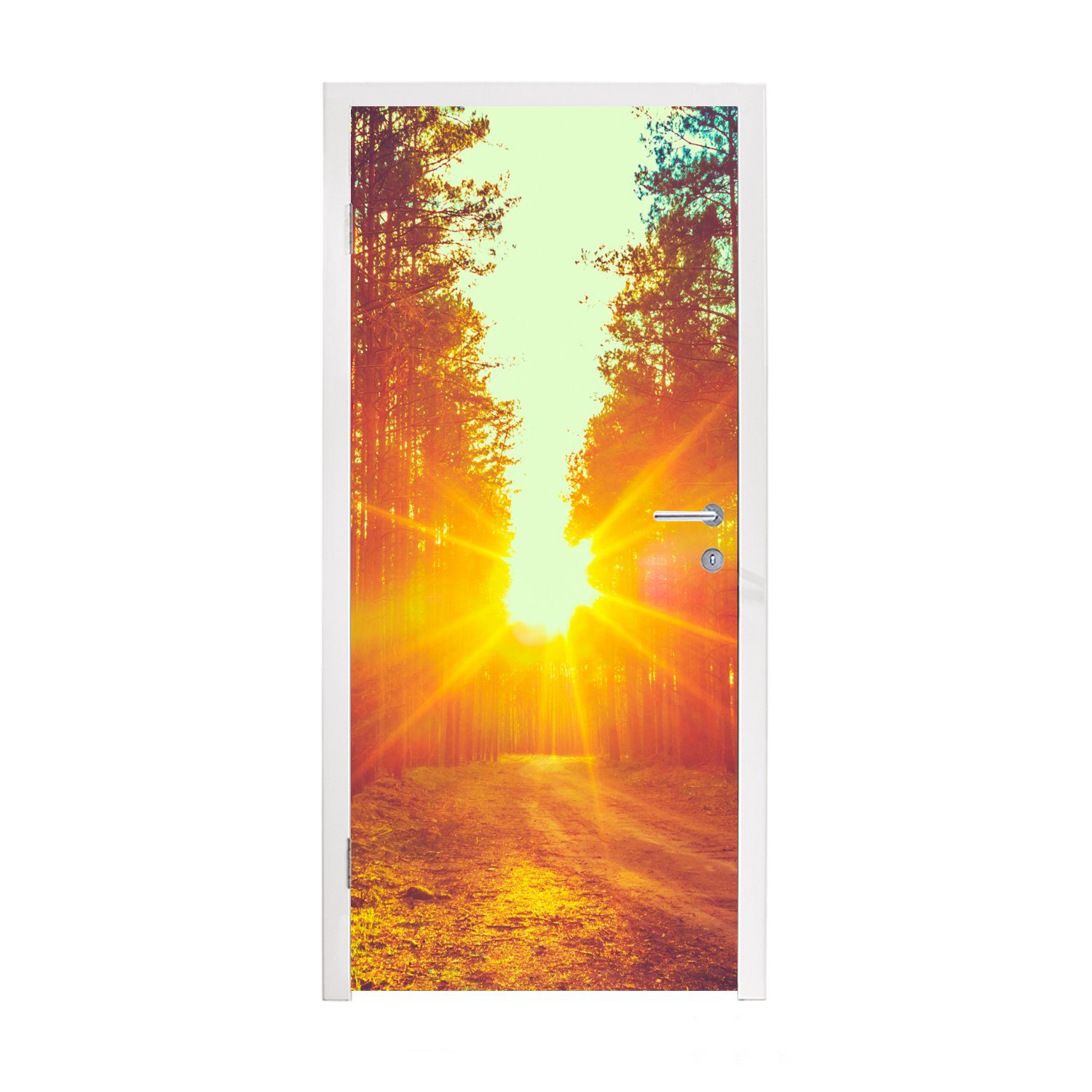(1 - Natur, 75x205 Bäume MuchoWow Fototapete Wald Türaufkleber, cm bedruckt, Matt, Sonnenuntergang Tür, für - - Türtapete St),