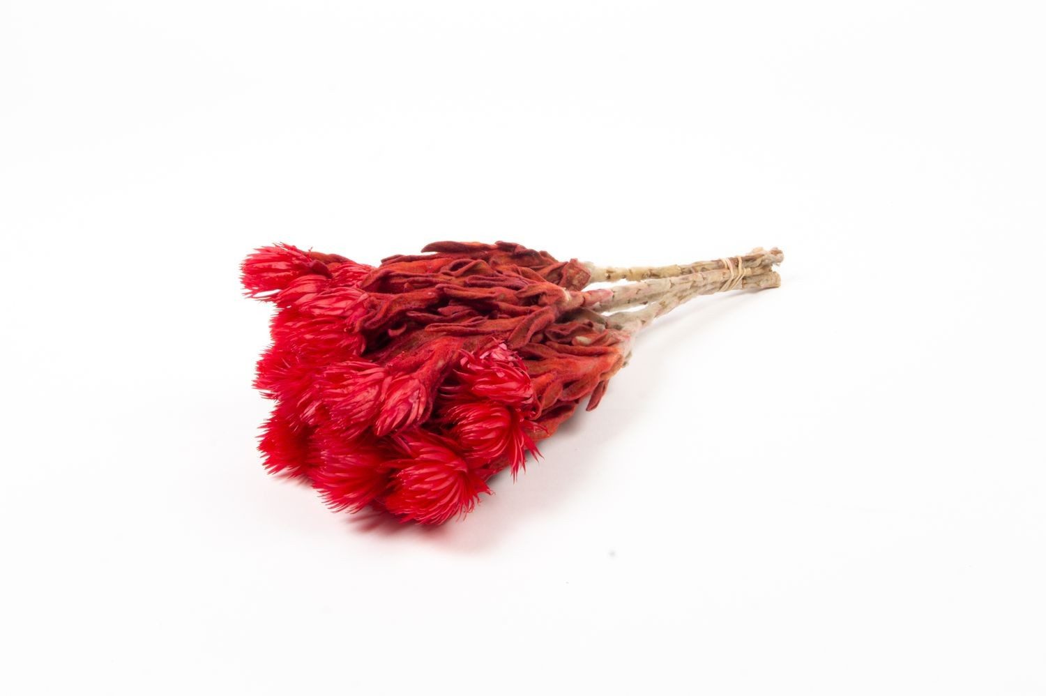 Trockenblume Sonnenblumen Trockenstrauß Bibiana, rot, 30-40cm, Ø15cm, INNA-Glas, Höhe 40.0 cm