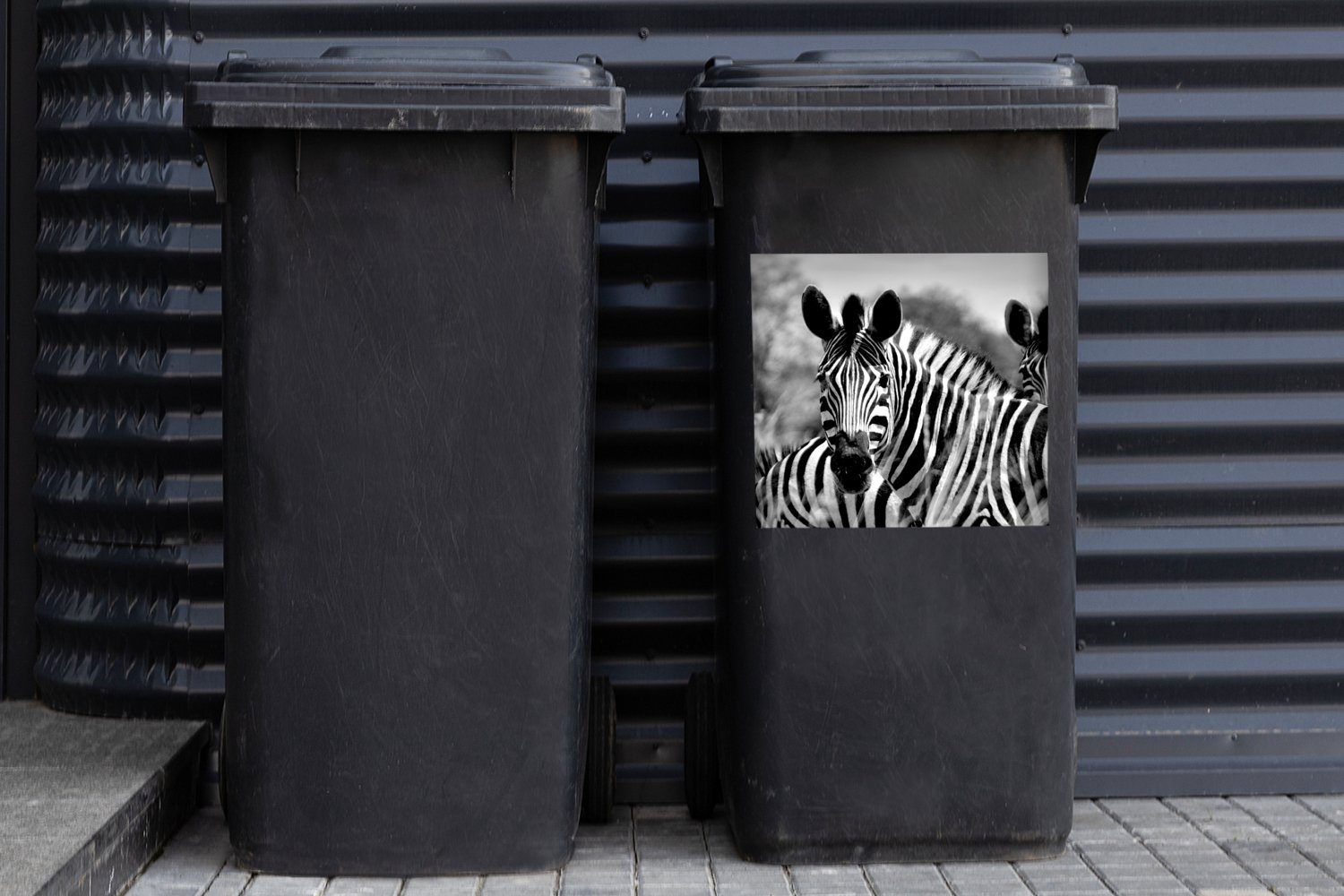 Weiß MuchoWow Mülleimer-aufkleber, - Tiere Container, - - Wandsticker Schwarz Zebra Sticker, St), Abfalbehälter Mülltonne, (1
