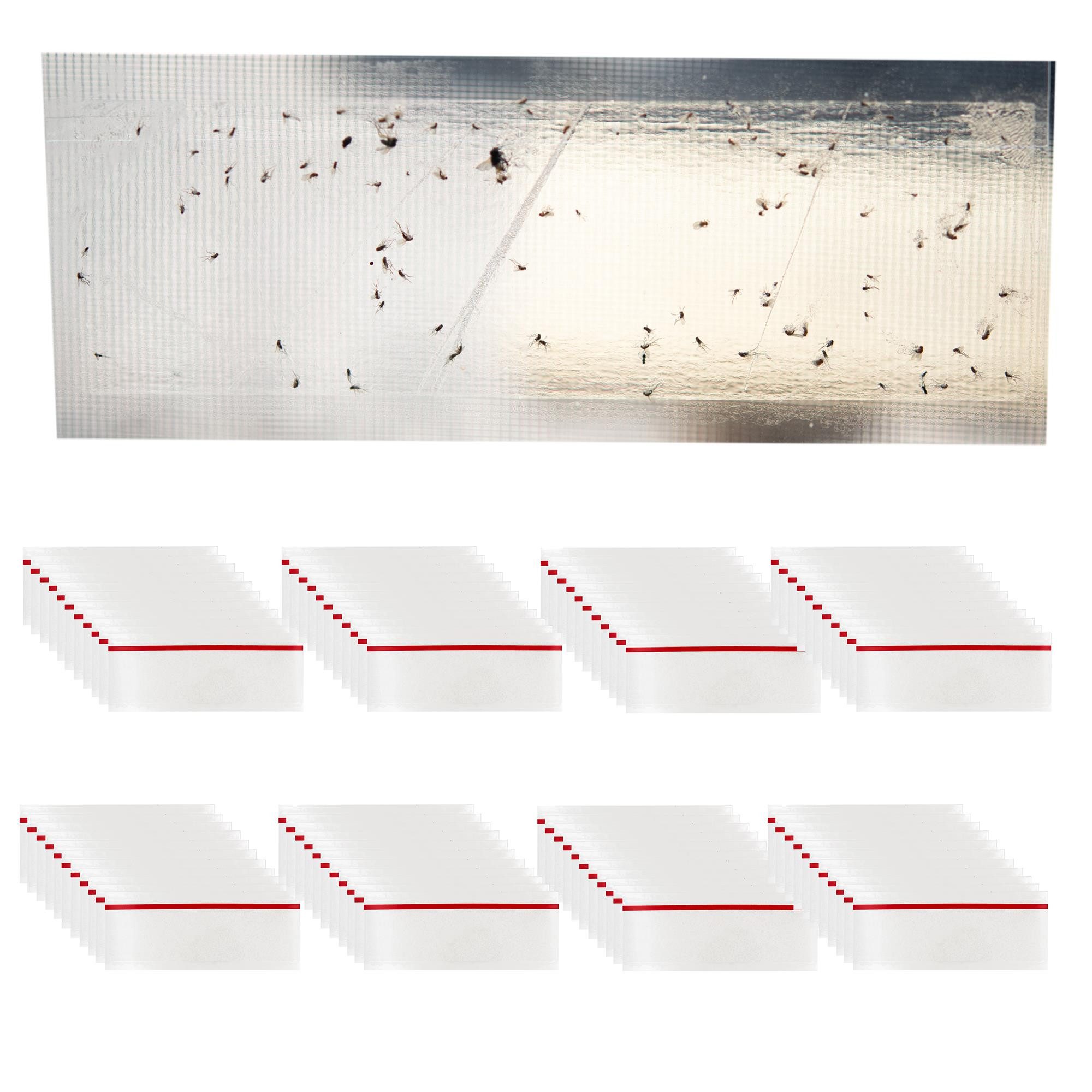 TSB Werk Insektenschutz-Vorhang Fliegenfalle Fenster Leimfalle günstig online kaufen