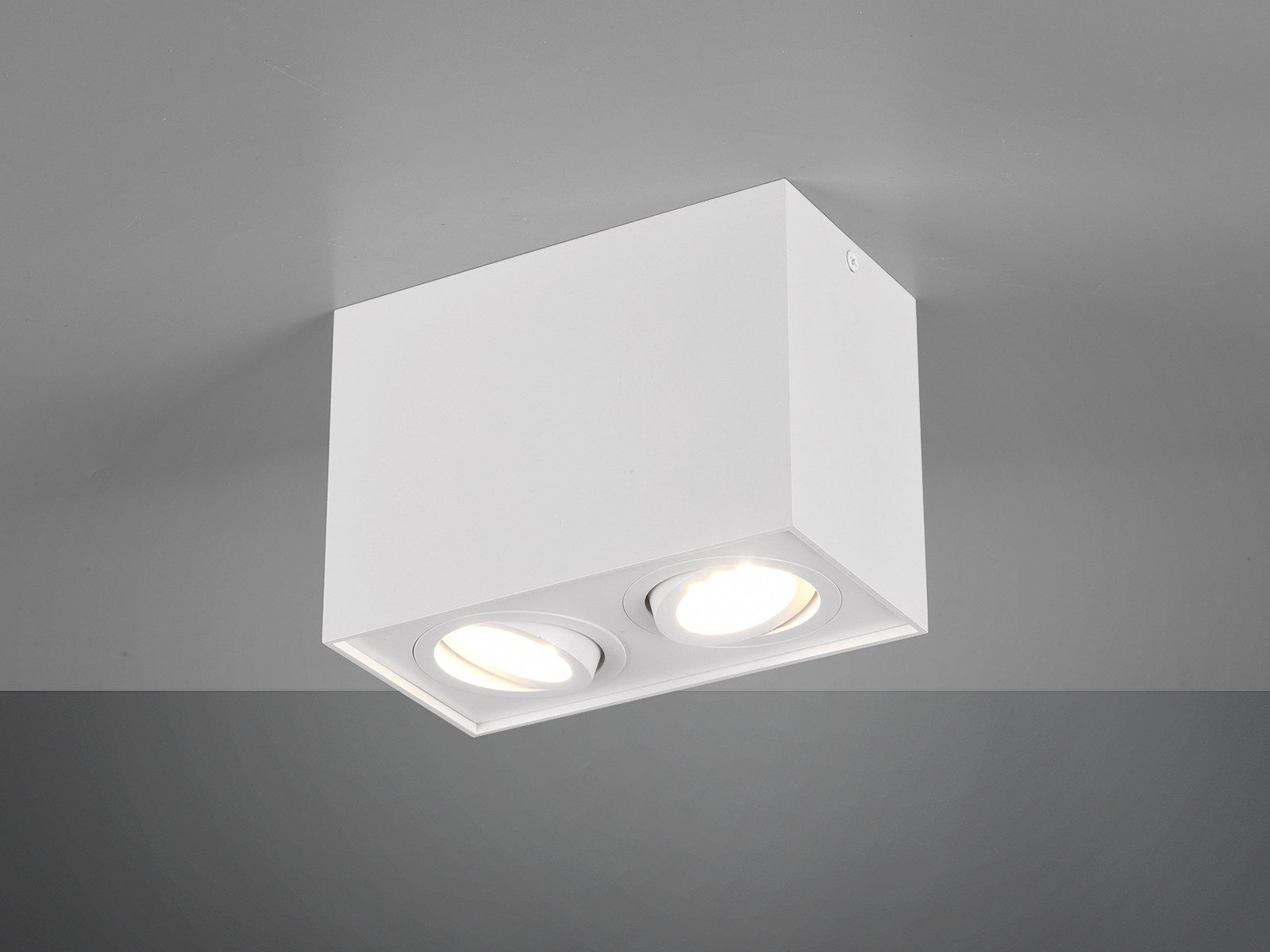 TRIO Leuchten LED Deckenstrahler, Dimmfunktion, LED wechselbar, Warmweiß, Aufbau-Spot Aufputz Strahler innen 2-flammig, Treppenhaus, Weiß H:12cm