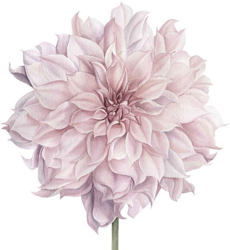 Rosa | Blumen Wandtattoos online kaufen OTTO