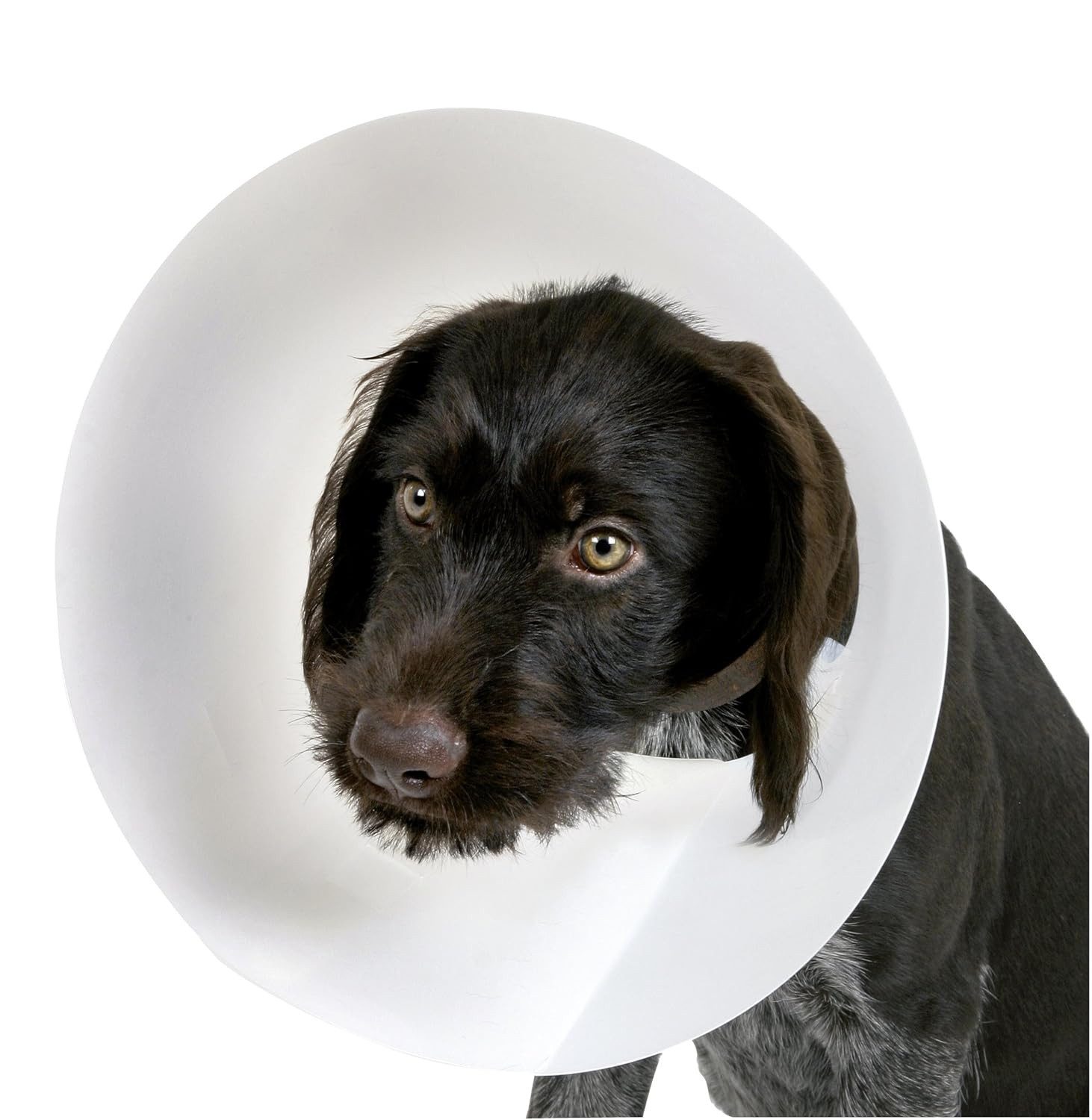 Kerbl Schutzkragen Hunde-Halskrause 25,00 cm