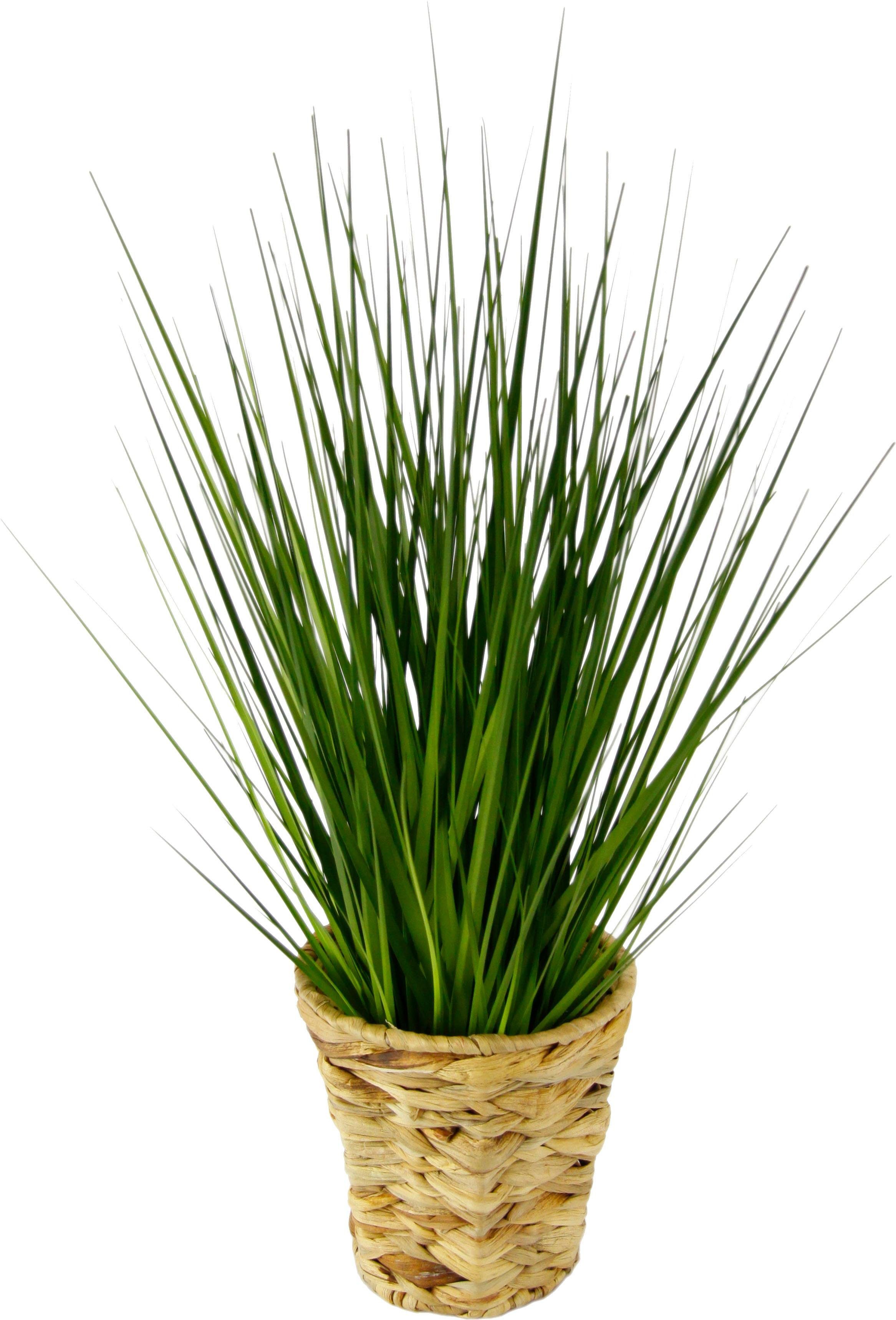 Kunstpflanze Gras, I.GE.A., Höhe 60 cm. Reduzierter Preis € 23,71. Unverbindliche Preisempfehlung € 32,99