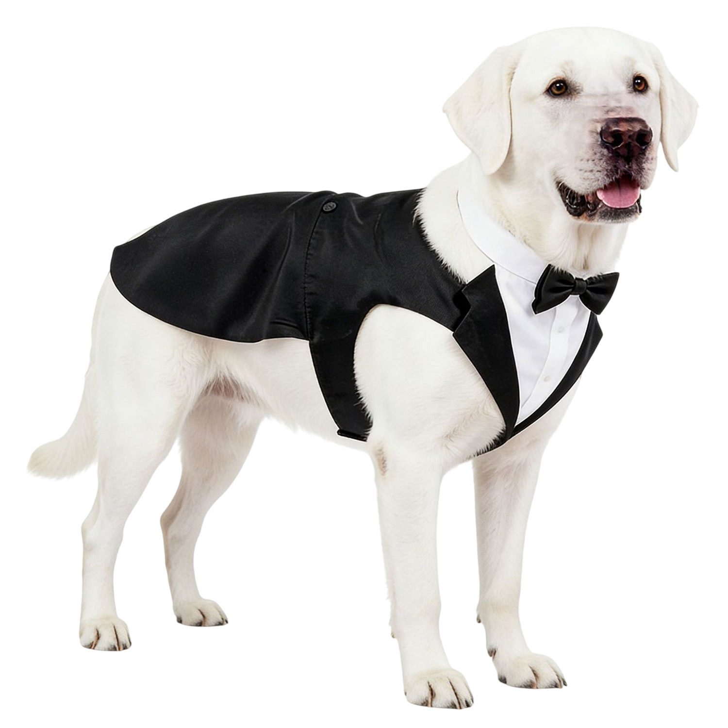 Refttenw Hundekostüm Hund Smoking Anzug Fliege mit Klettverschluss, Stilvoll Würdevoll, für Hochzeit Halloween Geburtstag Party