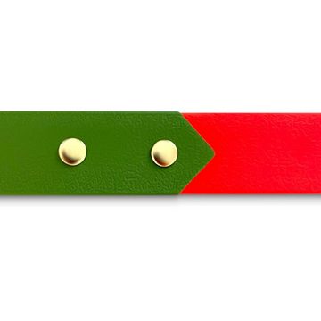 Hey Lana Hunde-Halsband Hundehalsband Outdoor SPORT – Wasserfest – Neon-orange/Grün