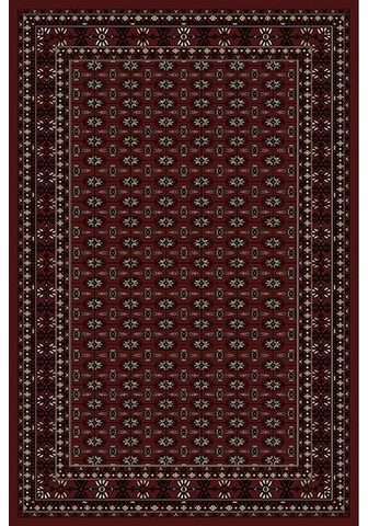 AYYILDIZ Ковер »Marrakesh 351« rech...