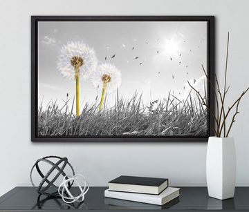 Pixxprint Leinwandbild Pusteblumen auf Wiese, Wanddekoration (1 St), Leinwandbild fertig bespannt, in einem Schattenfugen-Bilderrahmen gefasst, inkl. Zackenaufhänger