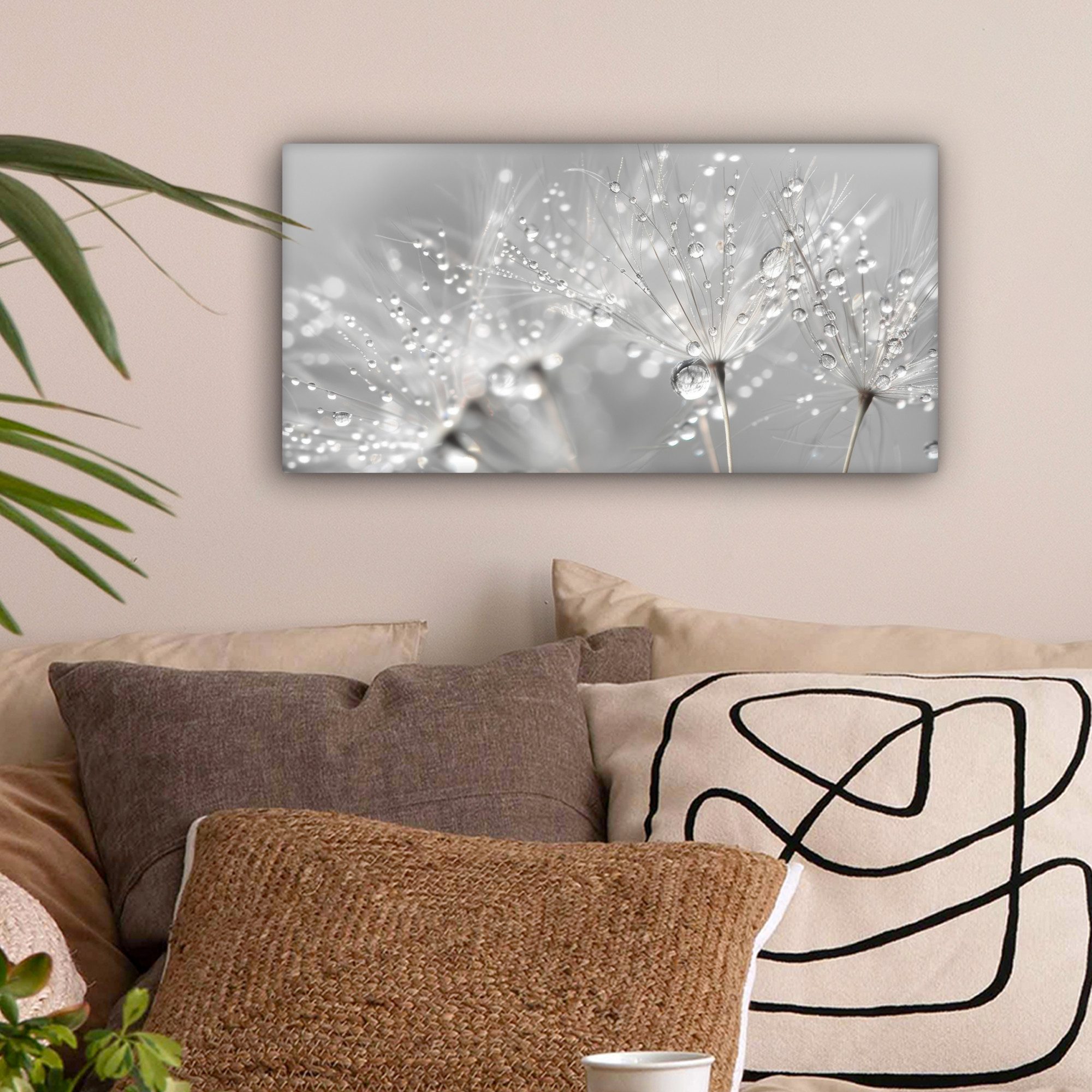 OneMillionCanvasses® Leinwandbild Panorama Löwenzahn - Wassertropfen - Stil günstig online kaufen