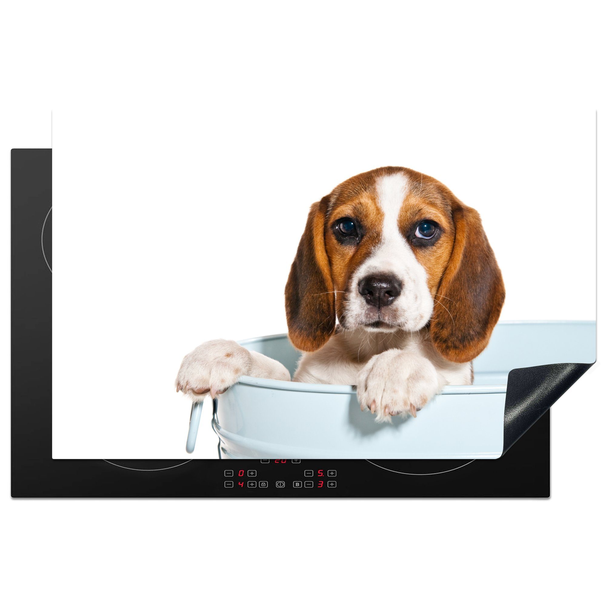 MuchoWow Herdblende-/Abdeckplatte Beagle-Welpe in einem Eimer, Vinyl, (1 tlg), 81x52 cm, Induktionskochfeld Schutz für die küche, Ceranfeldabdeckung