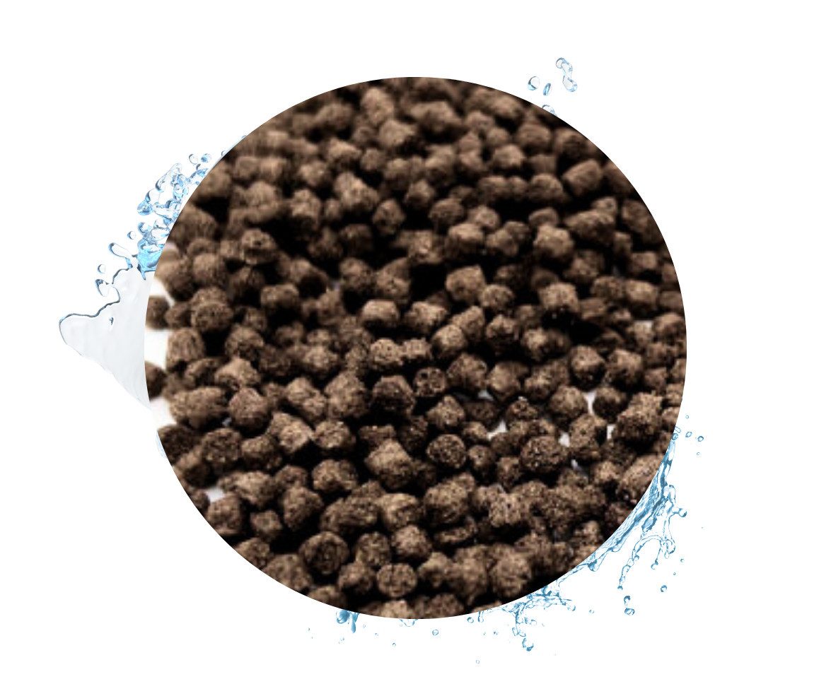 Warnick´s Tierfutterservice Koifutter Wheatgerm in 3mm / 6mm - speziell für Frühjahr und Herbst 3mm, Alleinfuttermittel für: Fische, Koi, Zierkrapfen, Goldfische, größere Teichfische