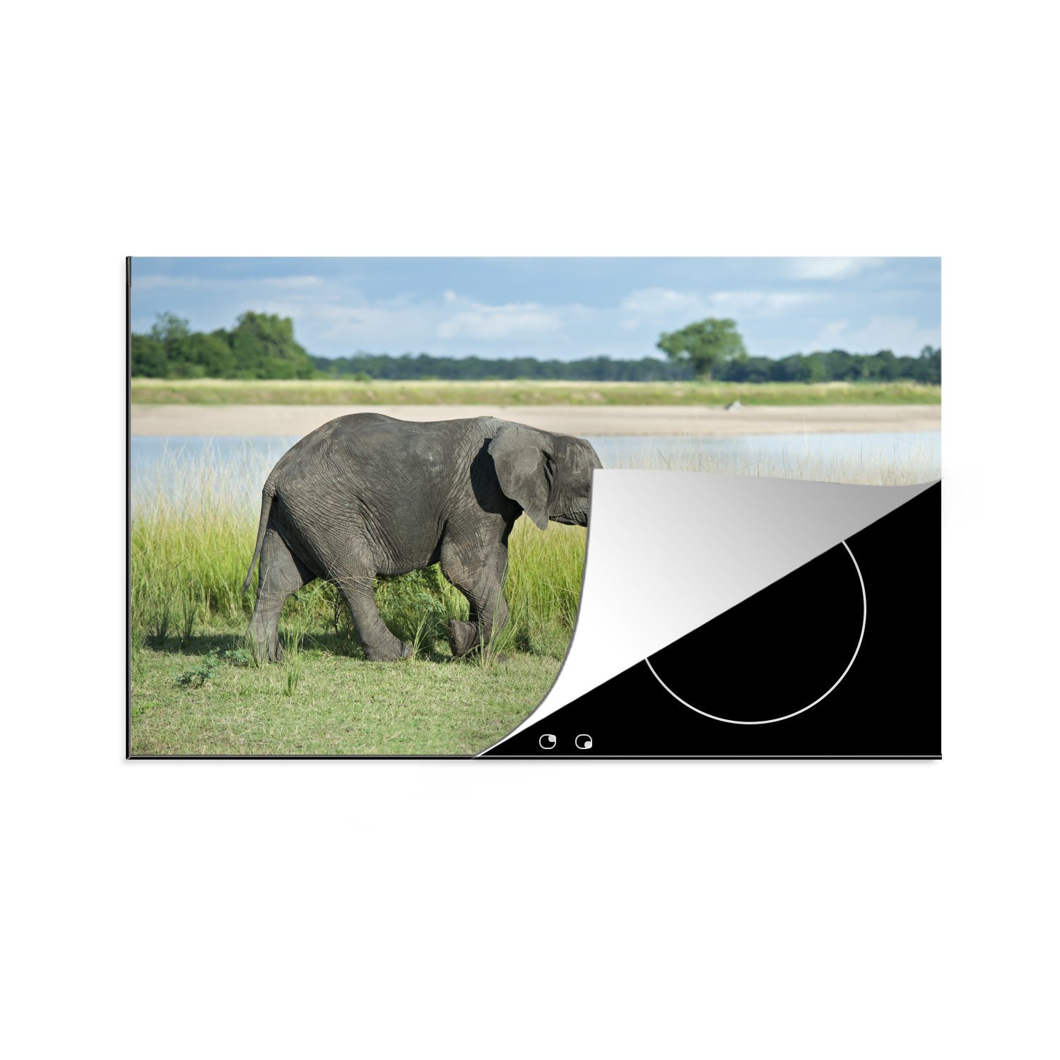 MuchoWow Herdblende-/Abdeckplatte Ein Elefant spaziert entlang des Flusses im South Luangwa National, Vinyl, (1 tlg), 81x52 cm, Induktionskochfeld Schutz für die küche, Ceranfeldabdeckung