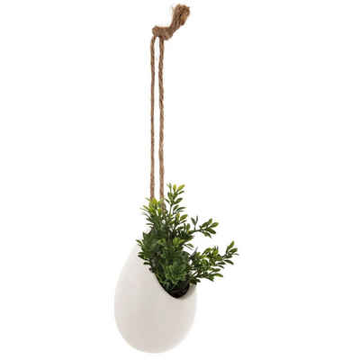 Kunstpflanze Zimmerpflanze, Atmosphera Créateur d'intérieur, Höhe 13 cm