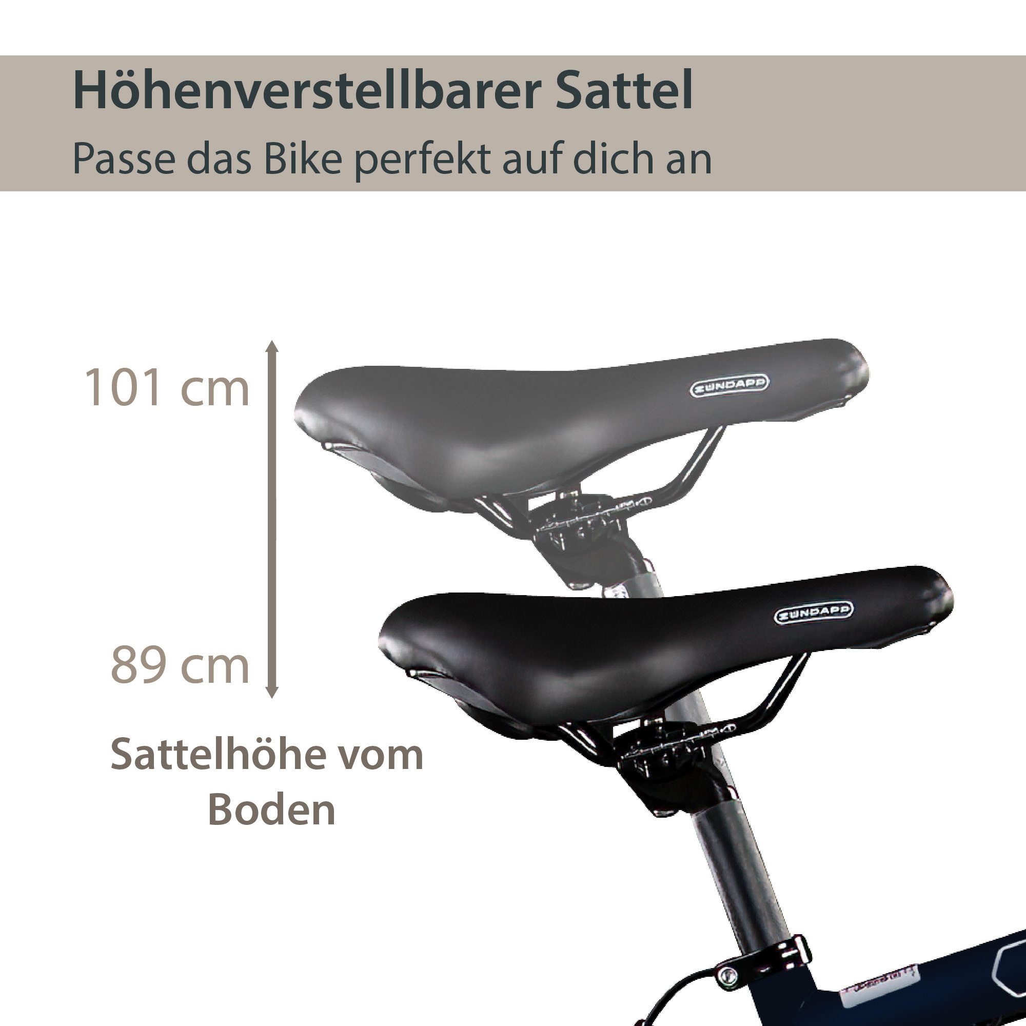 AGON E-Bike Trekkingrad Avesa, 21 Gang, Kettenschaltung, Heckmotor, 374 Wh, Pedelec, Elektrofahrrad für Damen u. Herren