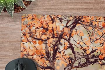 MuchoWow Gaming Mauspad Herbst - Äste - Blätter (1-St), Mousepad mit Rutschfester Unterseite, Gaming, 40x40 cm, XXL, Großes