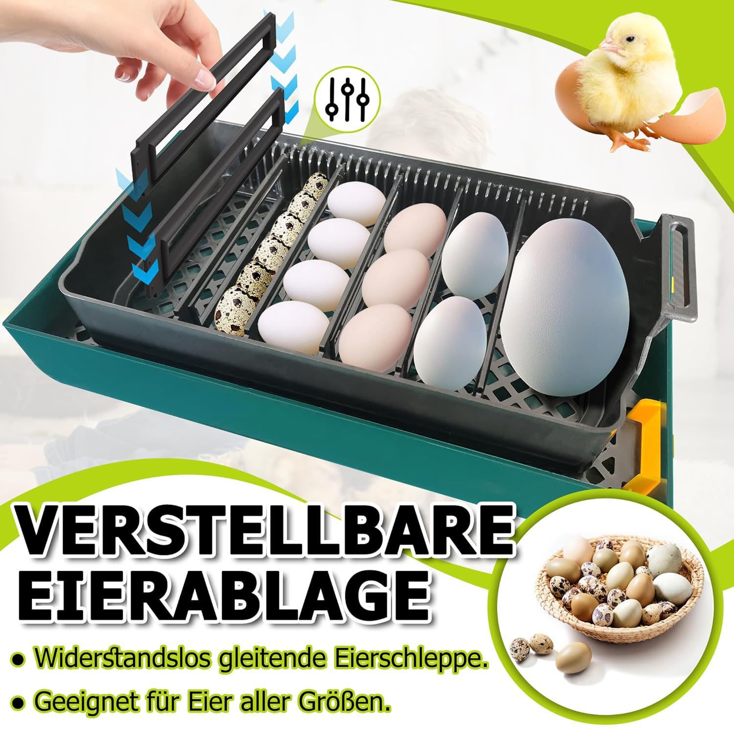 AIMAX Reptilieninkubator Brutautomat Vollautomatisch Brutmaschine Mit ABS-Gehäuse für 10 Eier, Temperatur-Feuchtigkeitsanzeige Rutschfreier Eiablagefach Brutkasten