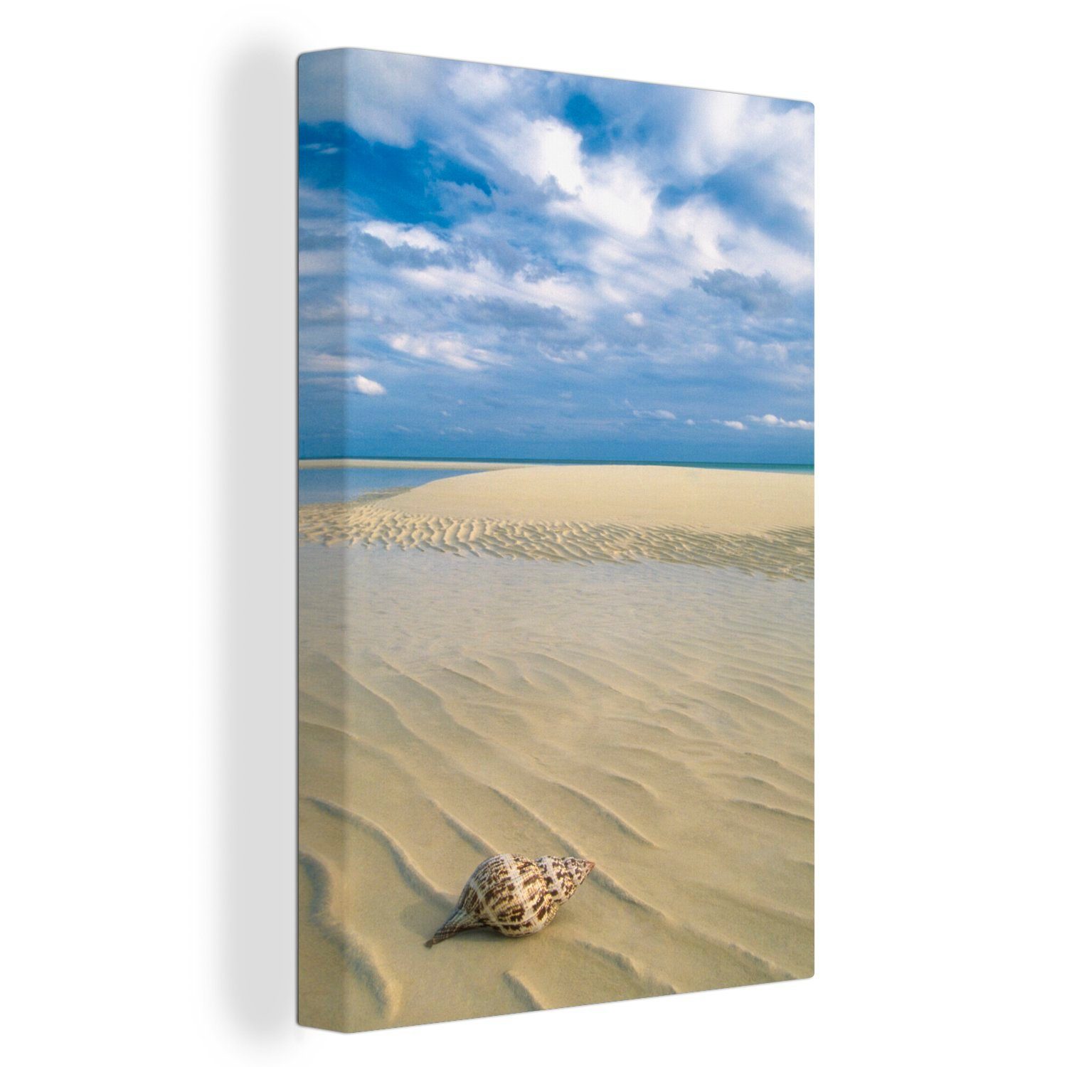 OneMillionCanvasses® Leinwandbild Eine gekrönte Schnecke an einem schönen weißen Strand im Lucayan, (1 St), Leinwandbild fertig bespannt inkl. Zackenaufhänger, Gemälde, 20x30 cm