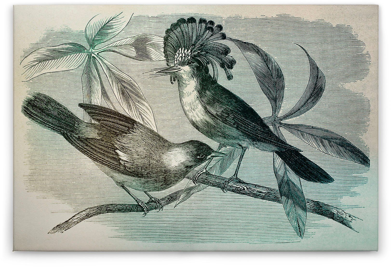 A.S. Création birds, (1 grau Keilrahmen blau, vintage Bild Leinwandbild Vogel St), grün