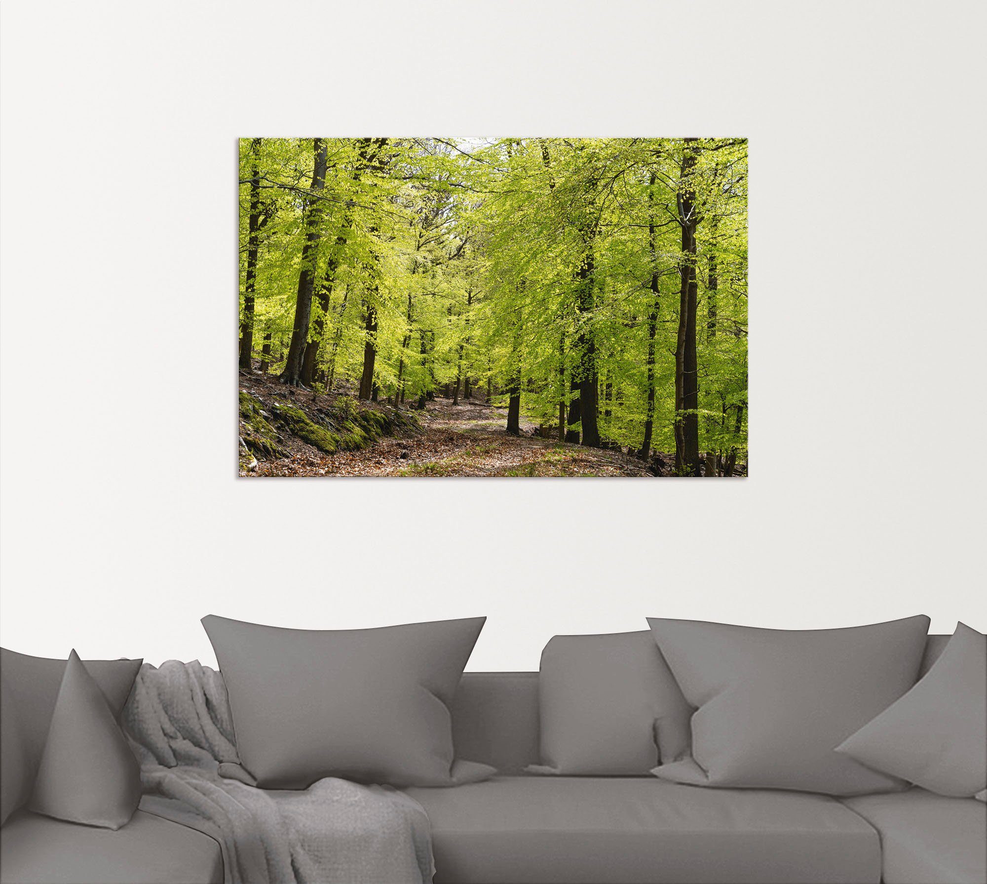 versch. Wald oder im (1 Buchen Wandaufkleber in Poster Artland Größen Leinwandbild, als Wandbild Die Alubild, St), Frühling,