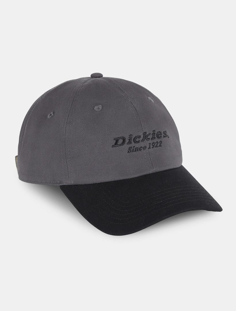 Dickies Baseball Cap Dickies Workwear Mützen TWILL DAD HAT