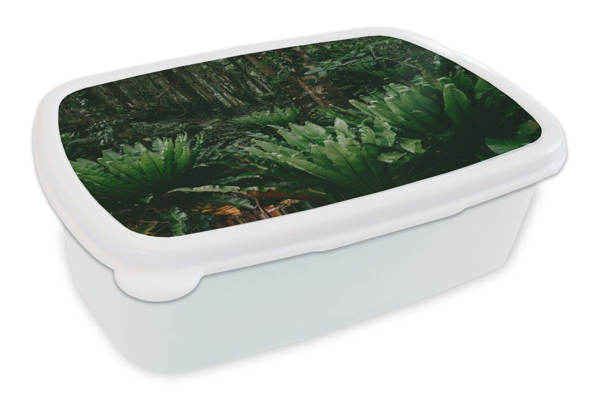 MuchoWow Lunchbox Japanischer Dschungel, Kunststoff, (2-tlg), Brotbox für Kinder und Erwachsene, Brotdose, für Jungs und Mädchen weiß