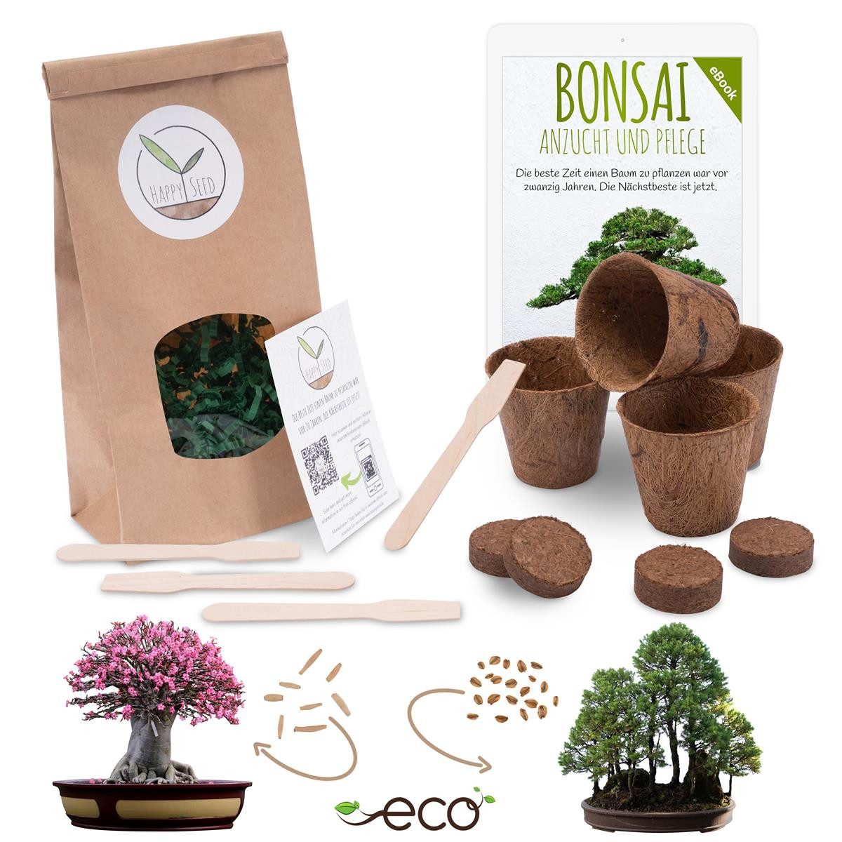 Blumensamen Bonsai Anzuchtset inkl. eBook - Pflanzset mit Wüstenrose + Mammutbaum
