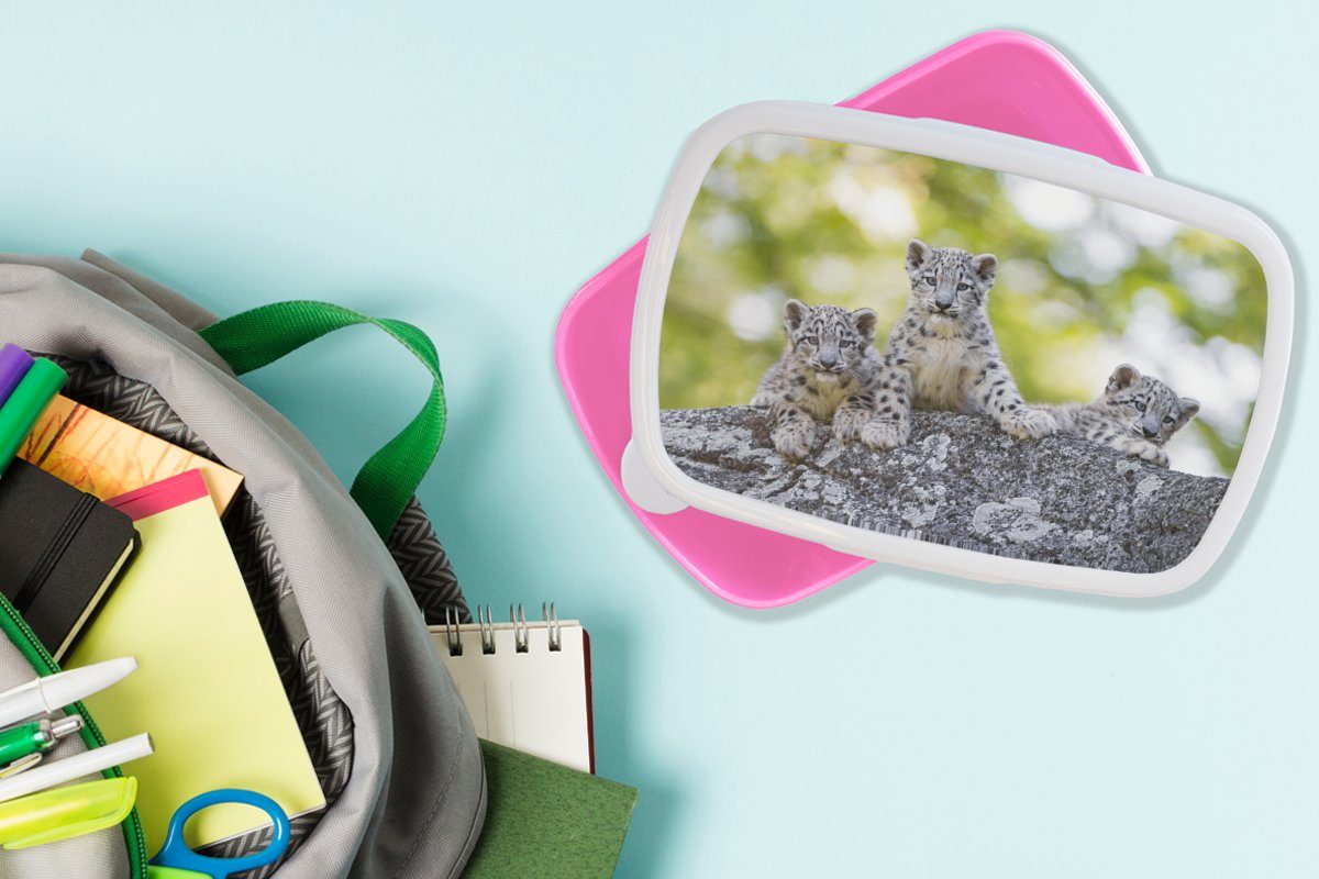 Lunchbox Brotdose Snackbox, Brotbox Jungtiere Kinder, Mädchen, - für Kunststoff, Kunststoff rosa Erwachsene, MuchoWow Leopard (2-tlg), Steine, -
