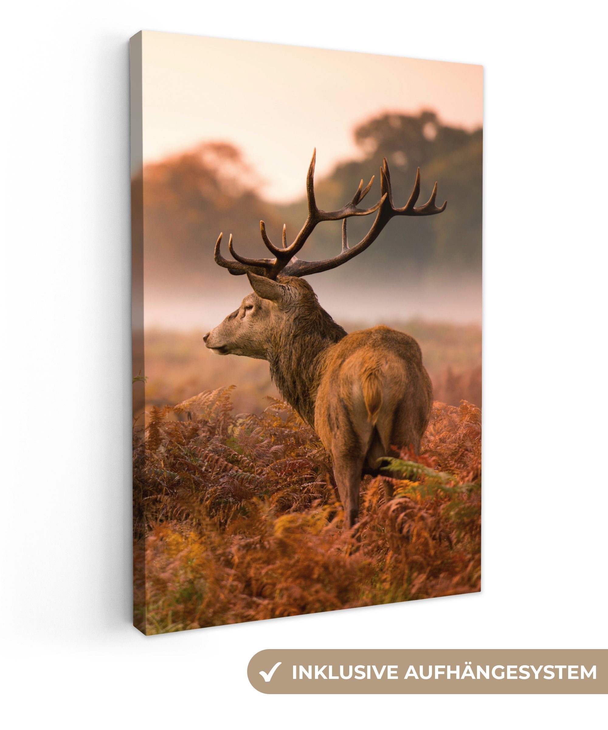 OneMillionCanvasses® Leinwandbild Hirsche - Nebel - günstig online kaufen