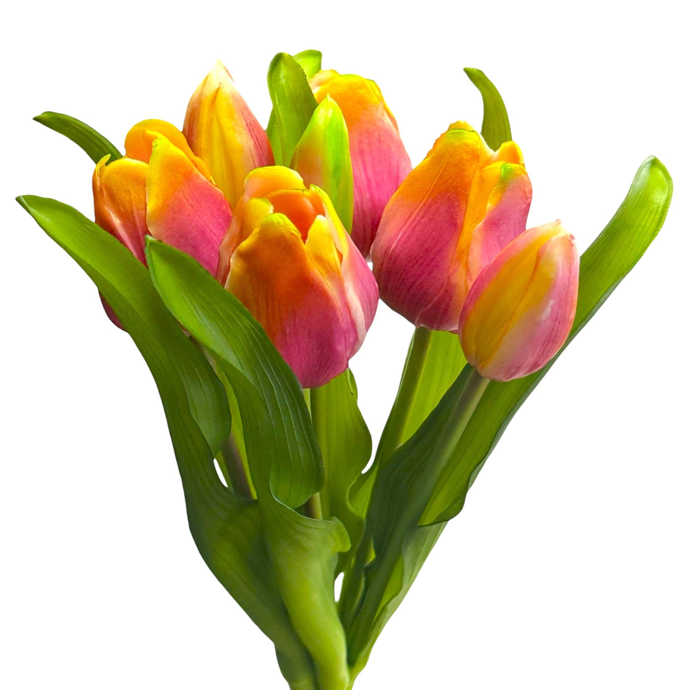 Kunsttulpe Künstlicher Tulpen-Bund 32cm "Soft-Touch" Kunstblume Tulpe, Flor günstig online kaufen