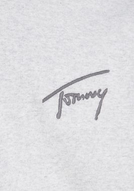Tommy Jeans Plus Kapuzensweatshirt TJM RLX SIGNATURE HOODIE EXT Große Größen