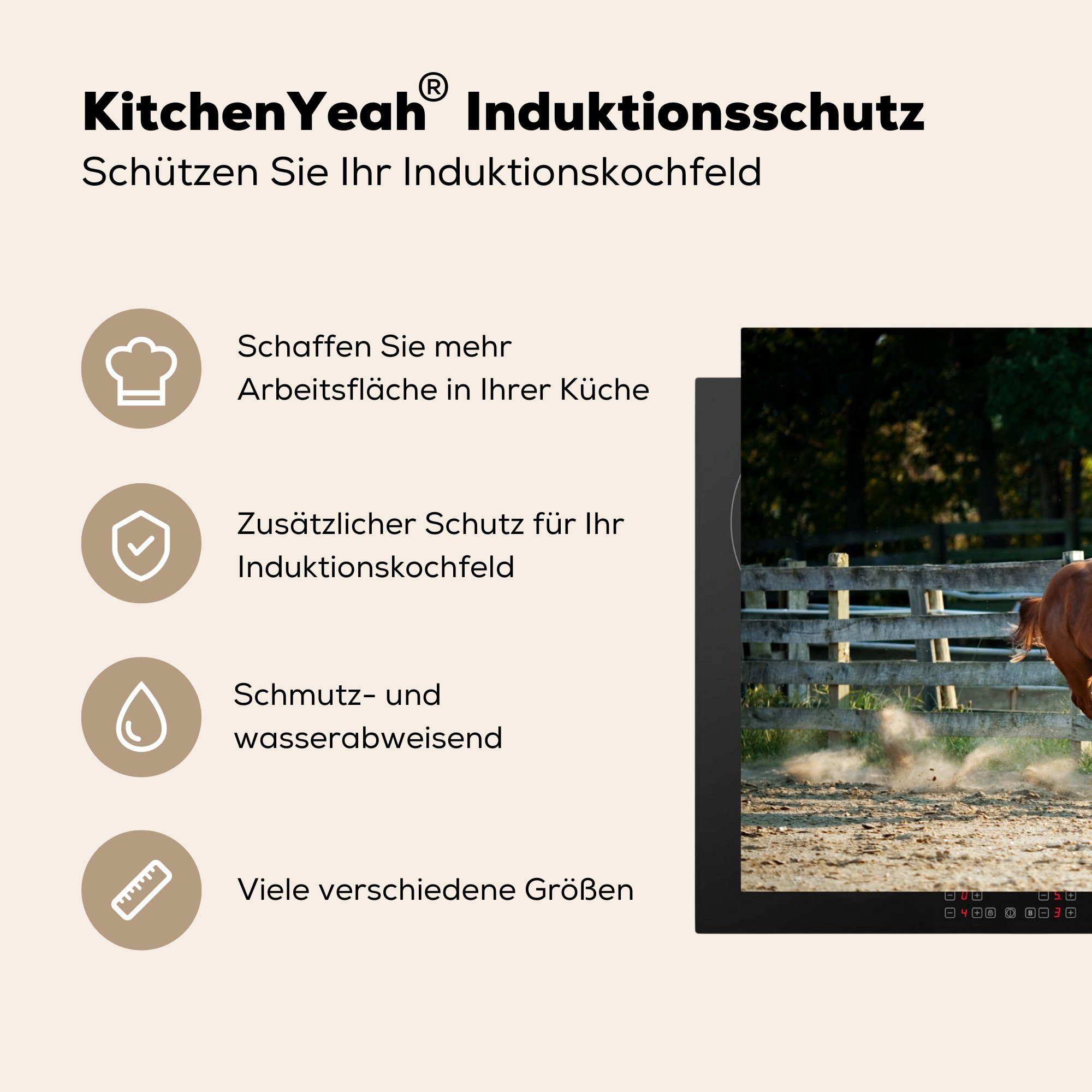 MuchoWow Herdblende-/Abdeckplatte Pferd - die Sand, Schutz tlg), Induktionskochfeld küche, (1 cm, 81x52 - Vinyl, Ceranfeldabdeckung Licht für
