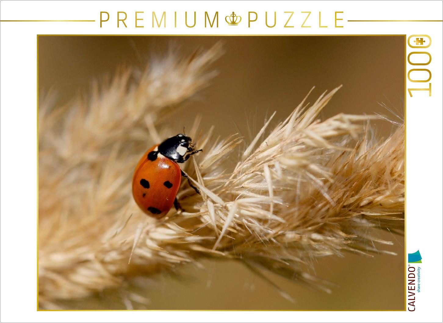 CALVENDO Puzzle CALVENDO Puzzle Glückskäfer im Spätsommer 1000 Teile Puzzle quer, 100, 1000 Puzzleteile