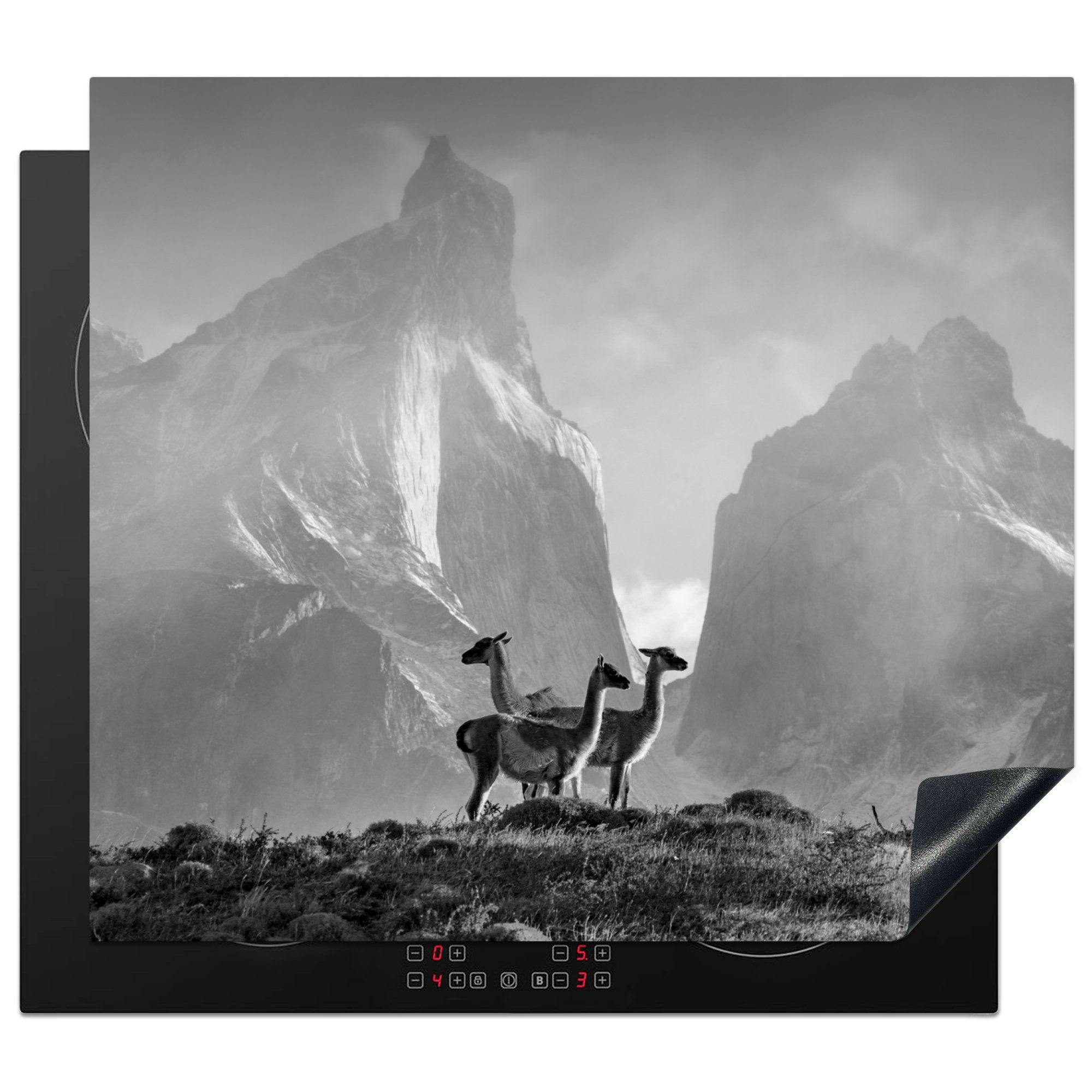 MuchoWow Herdblende-/Abdeckplatte Die Mobile Lamas tlg), auf (1 cm, - Ceranfeldabdeckung scheint 60x52 drei Vinyl, nutzbar, Morgensonne schwarz-weiß, Arbeitsfläche