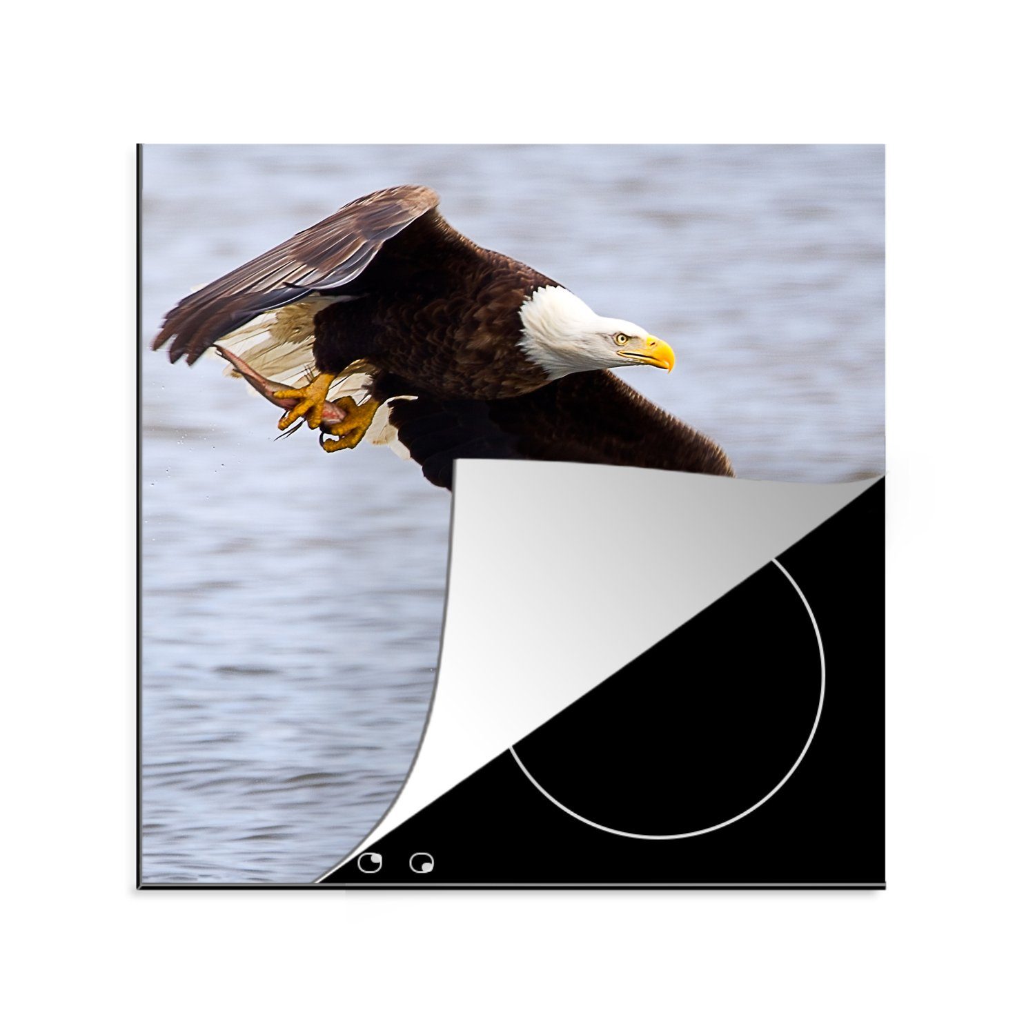 MuchoWow Herdblende-/Abdeckplatte Amerikanischer Weißkopfseeadler hat einen Biss, Vinyl, (1 tlg), 78x78 cm, Ceranfeldabdeckung, Arbeitsplatte für küche | Herdabdeckplatten