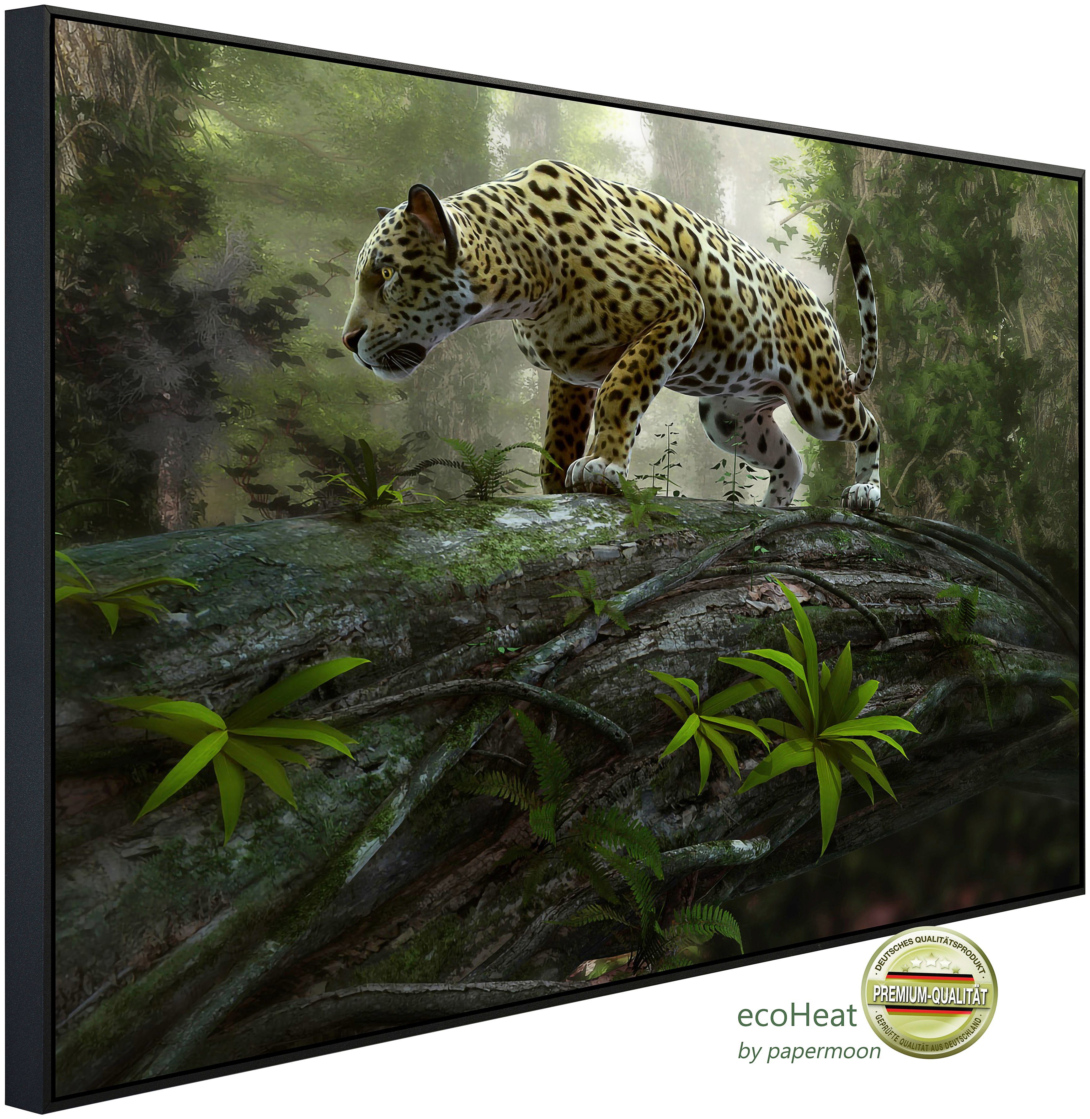 Infrarotheizung Jaguar auf der Suche