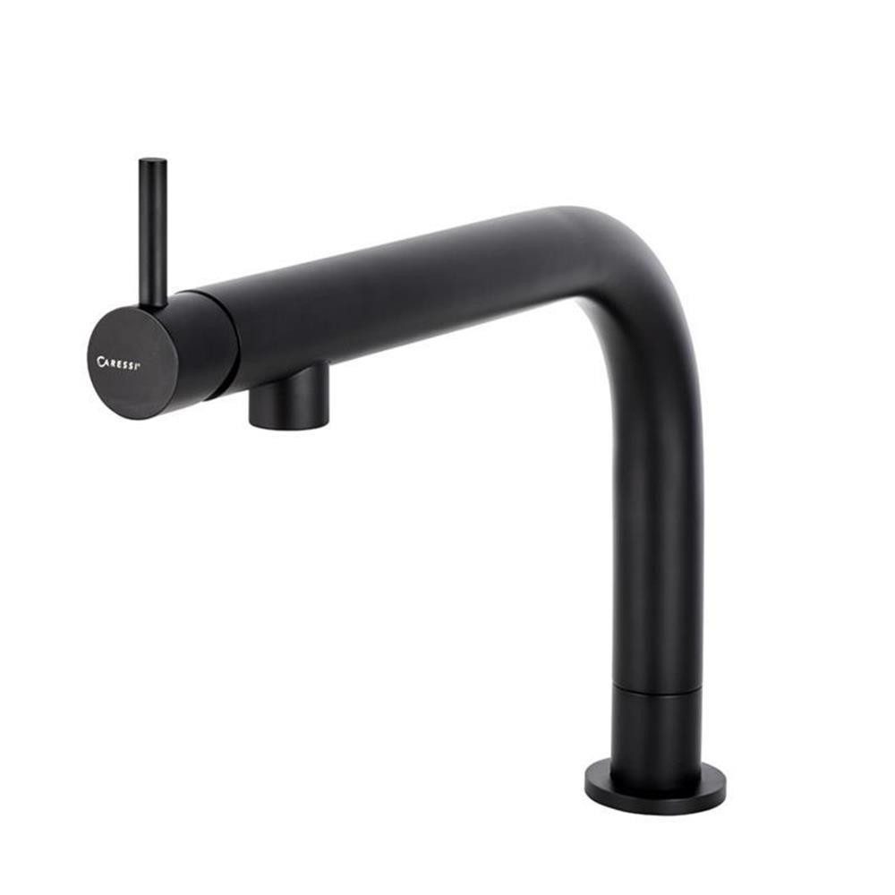 CARESSI Küchenarmatur Caressi Küchenarmatur Black und White Line CA109 ECO