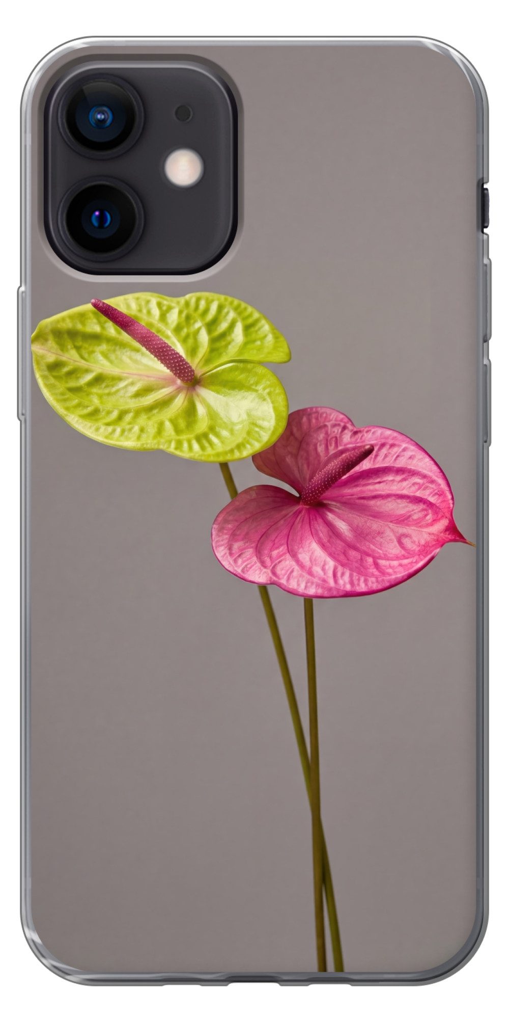 MuchoWow Handyhülle für Apple iPhone 12 Pflanzen - Anthurium - Grün - Rosa, Smartphone-Bumper, Print, Handy Schutzhülle Dünn