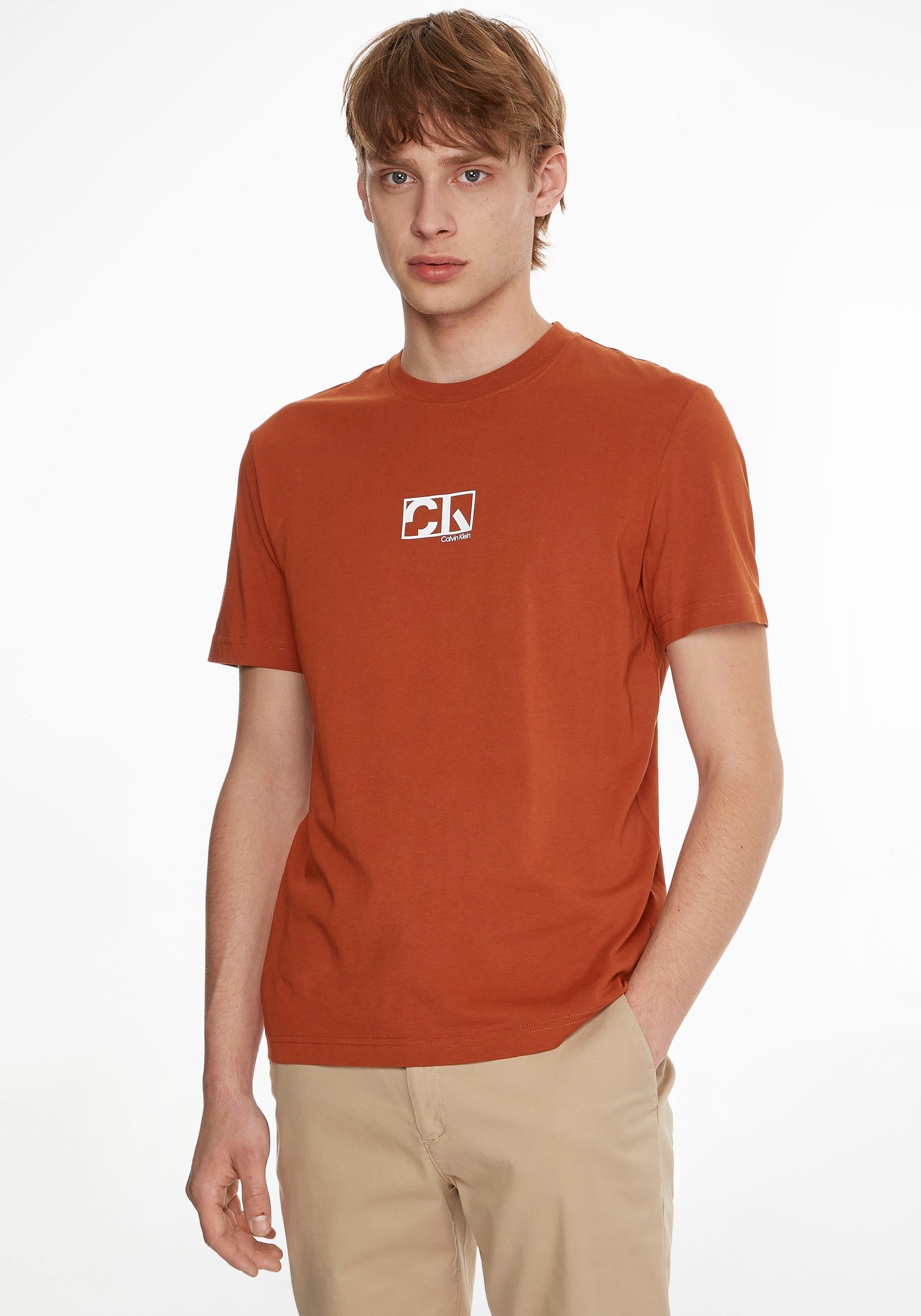 Calvin Klein T-Shirt GRAPHIC BOX LOGO T-SHIRT gingerbread | T-Shirts