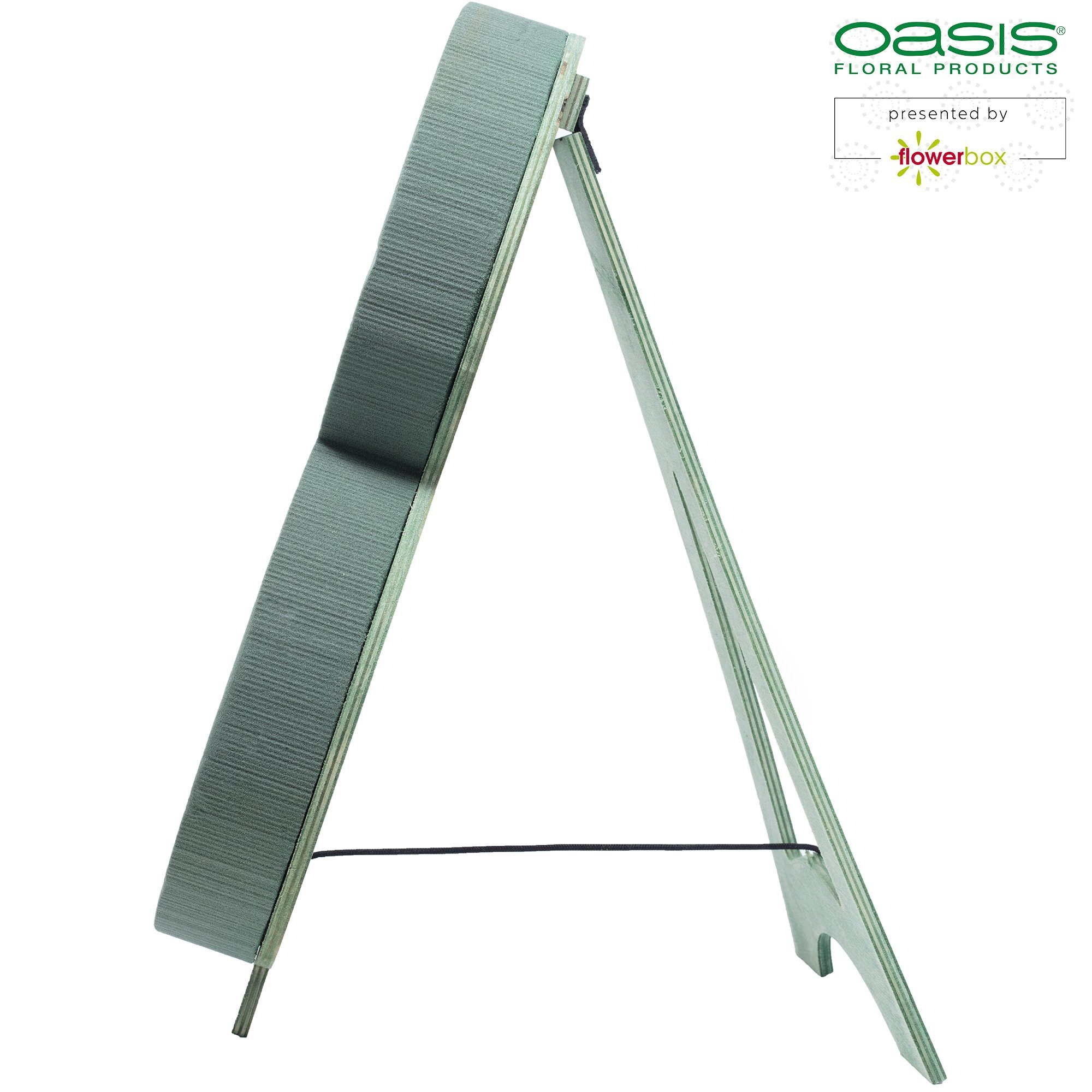 Oasis Schaumgummi OASIS®BIOLINE® Ziffer 3 - 40 x 26 x 6,5 cm