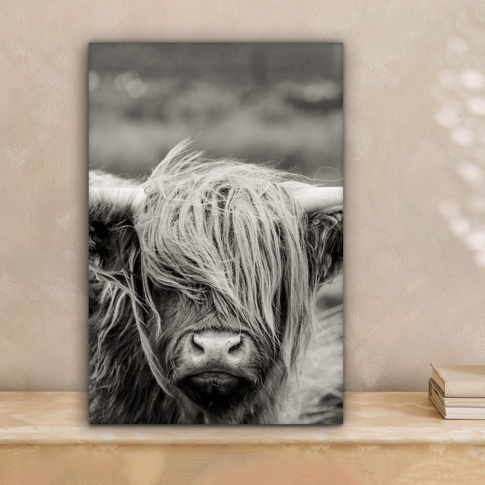 OneMillionCanvasses® Leinwandbild Schottischer Highlander - Kuh günstig online kaufen