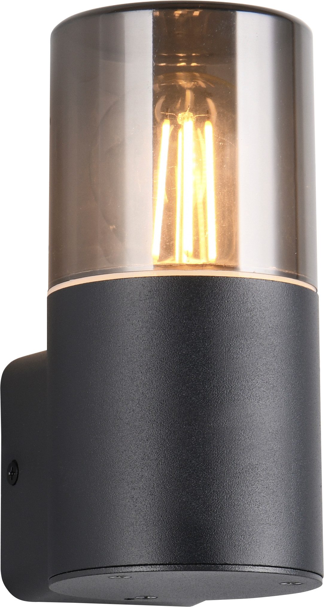 TRIO Leuchten Außen-Wandleuchte HOOSIC, Outdoor Wandlampe exkl 1x E27 max 28W, Hauswand-Leuchte, Leuchtmittel wechselbar, warmweiß - kaltweiß, Garten Wandleuchte IP44, Kunststoff Schirm rauchfarbig