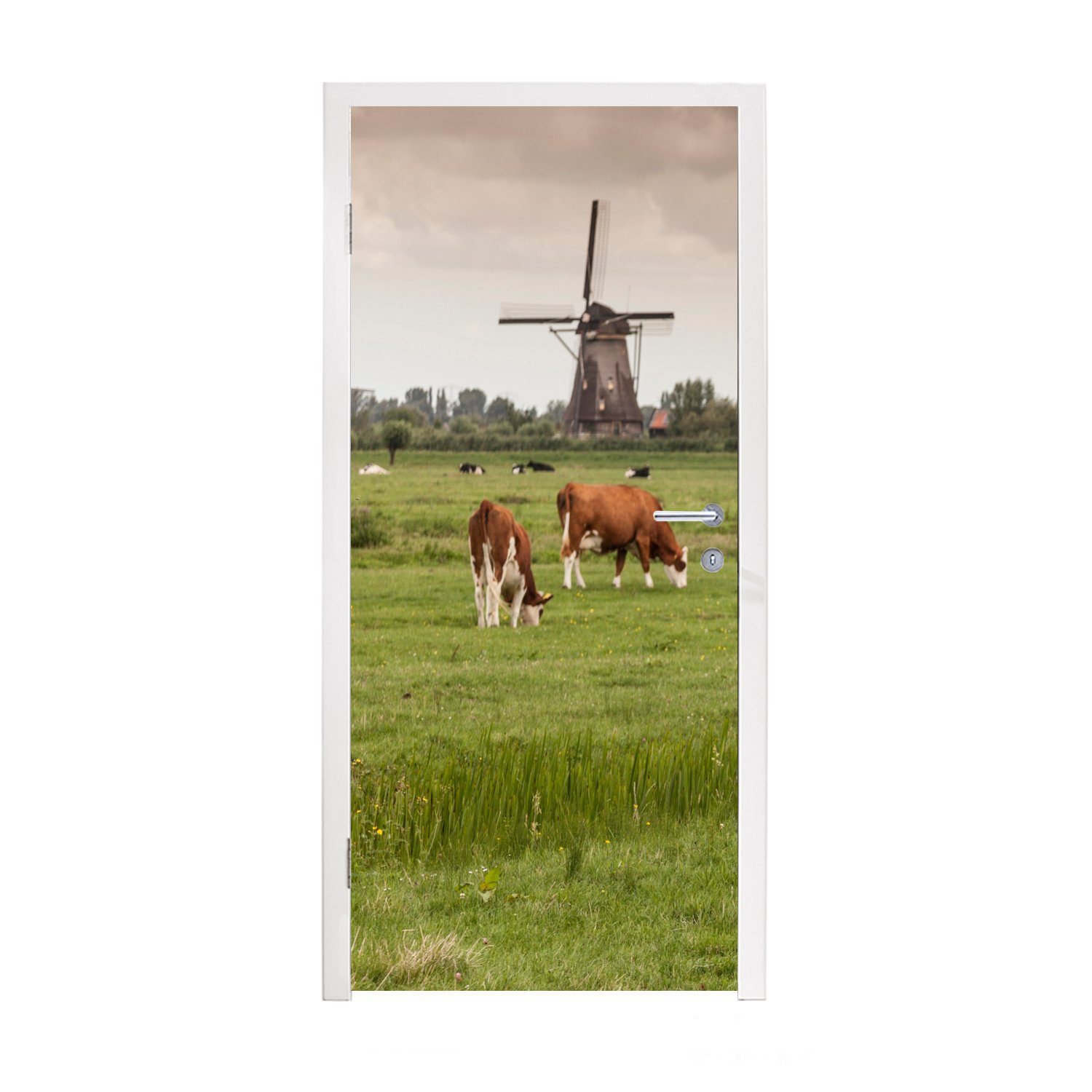 MuchoWow Türtapete Kühe - Mühle - Niederlande, Matt, bedruckt, (1 St), Selbstklebende Tapete, Folie für Möbel, 75x205 cm