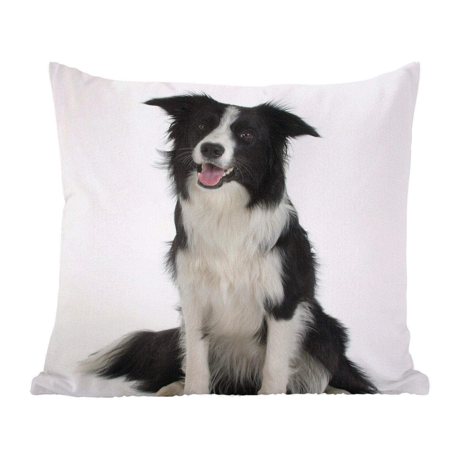 MuchoWow Dekokissen Porträt eines wohlerzogenen Border Collie im Sitzen, Zierkissen mit Füllung für Wohzimmer, Schlafzimmer, Deko, Sofakissen