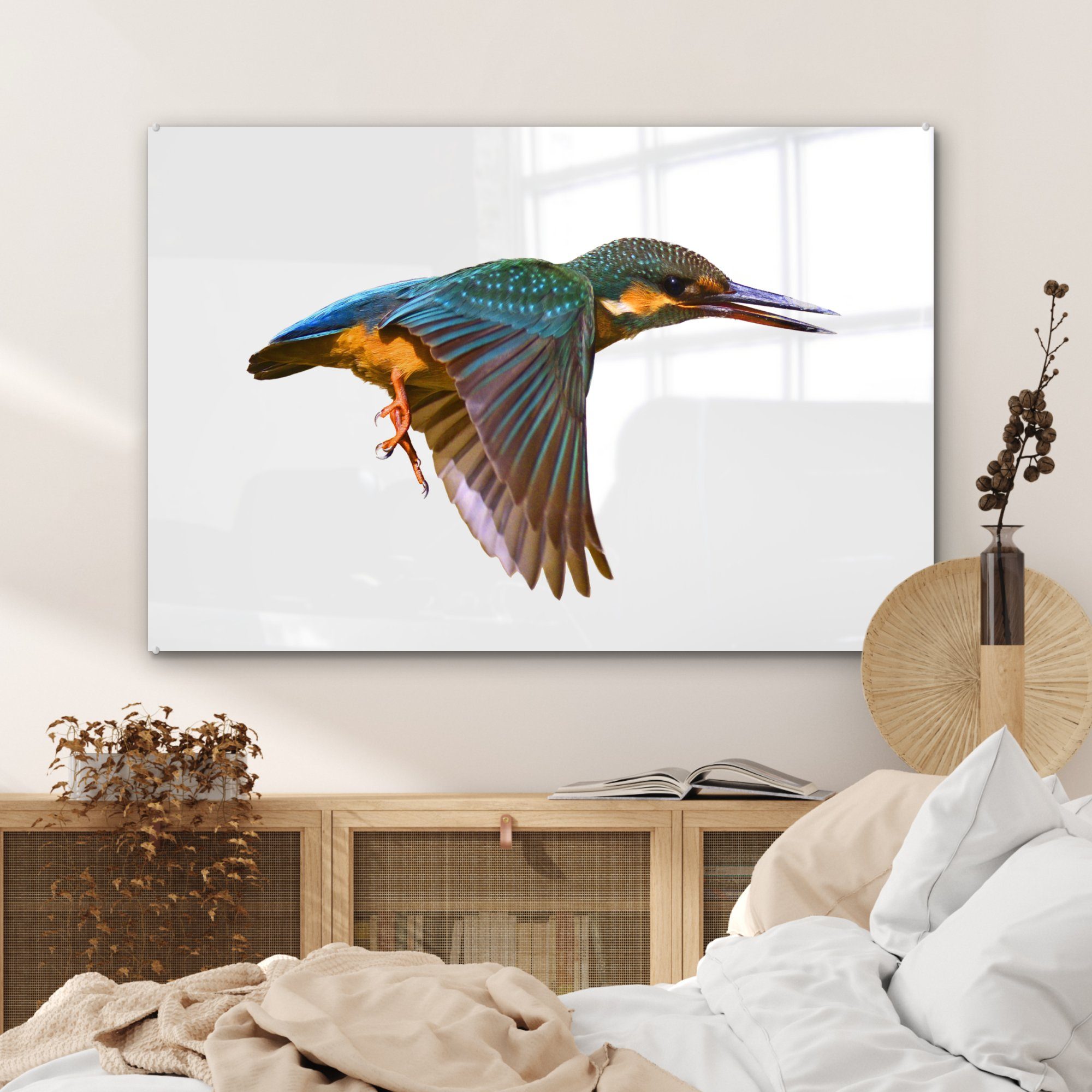 Acrylglasbild St), MuchoWow Fliegen (1 Eisvogel Acrylglasbilder - - Schlafzimmer Wohnzimmer & Tiere,