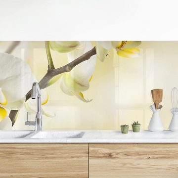 Bilderdepot24 Küchenrückwand gelb dekor Blumen Wandpaneel Küche Orchideen Zweig Wandverkleidung, (1-tlg., Nischenrückwand - für Fliesenspiegel ohne Bohren - matt), Spritzschutz Rückwand Küche Herd - Folie selbstklebend versch. Größen