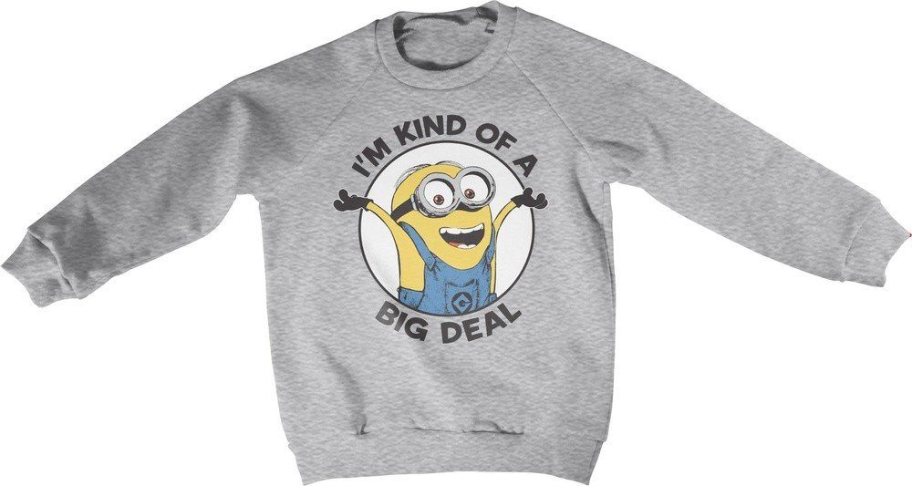 Minions Hoodie | Sweatshirts