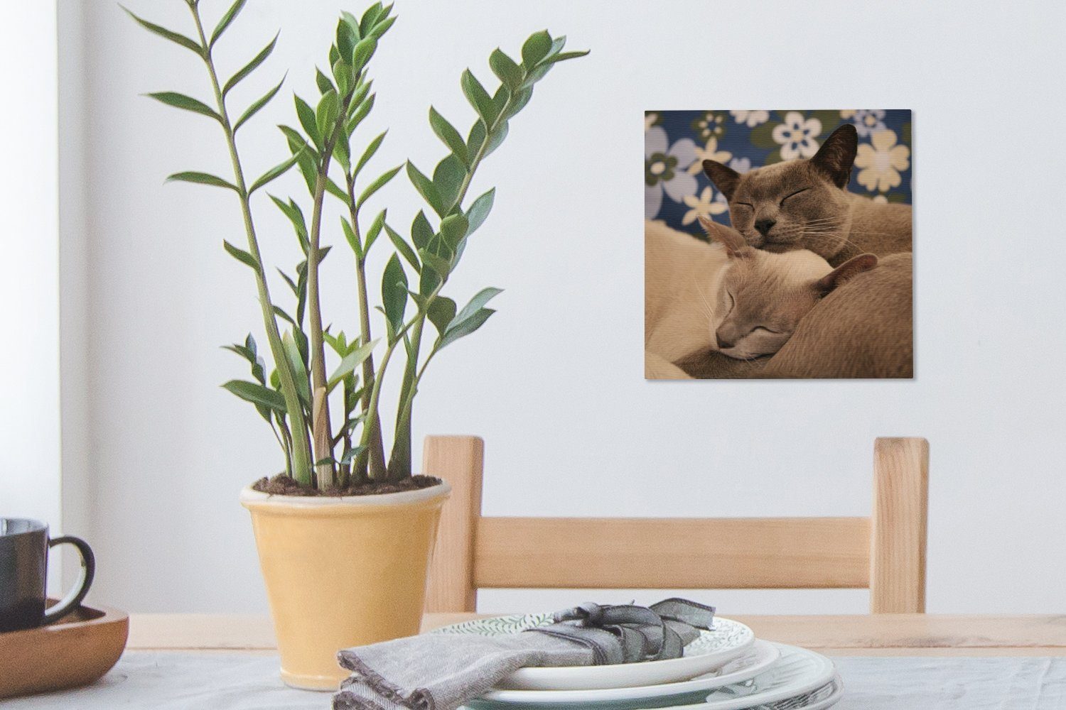 (1 für OneMillionCanvasses® Leinwand St), Katzen, Bilder burmesische Leinwandbild Schlafzimmer Wohnzimmer verschmuste Zwei
